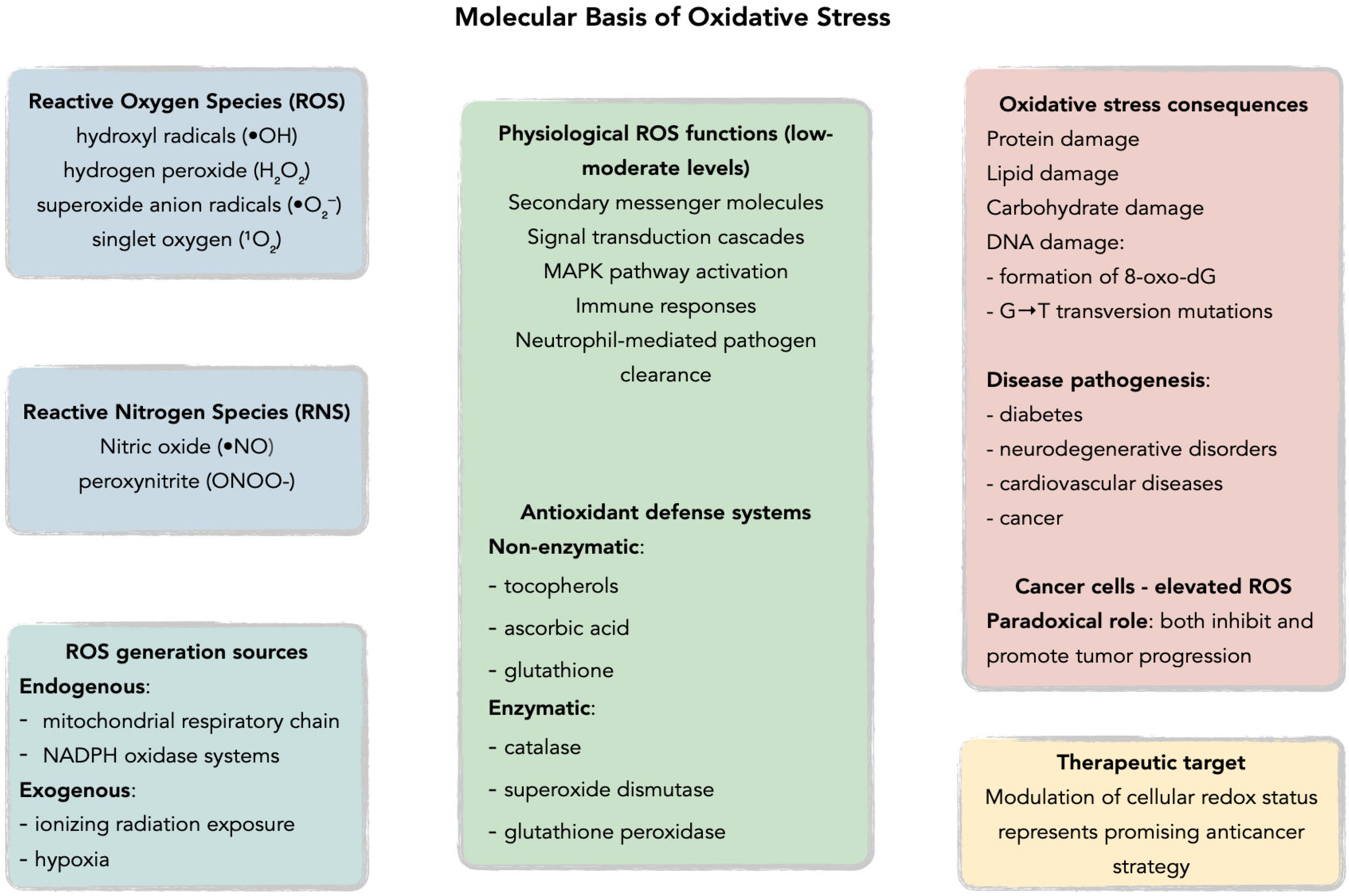 Antioxidants 14 01121 g002 Antioxidants 14 01121 g002