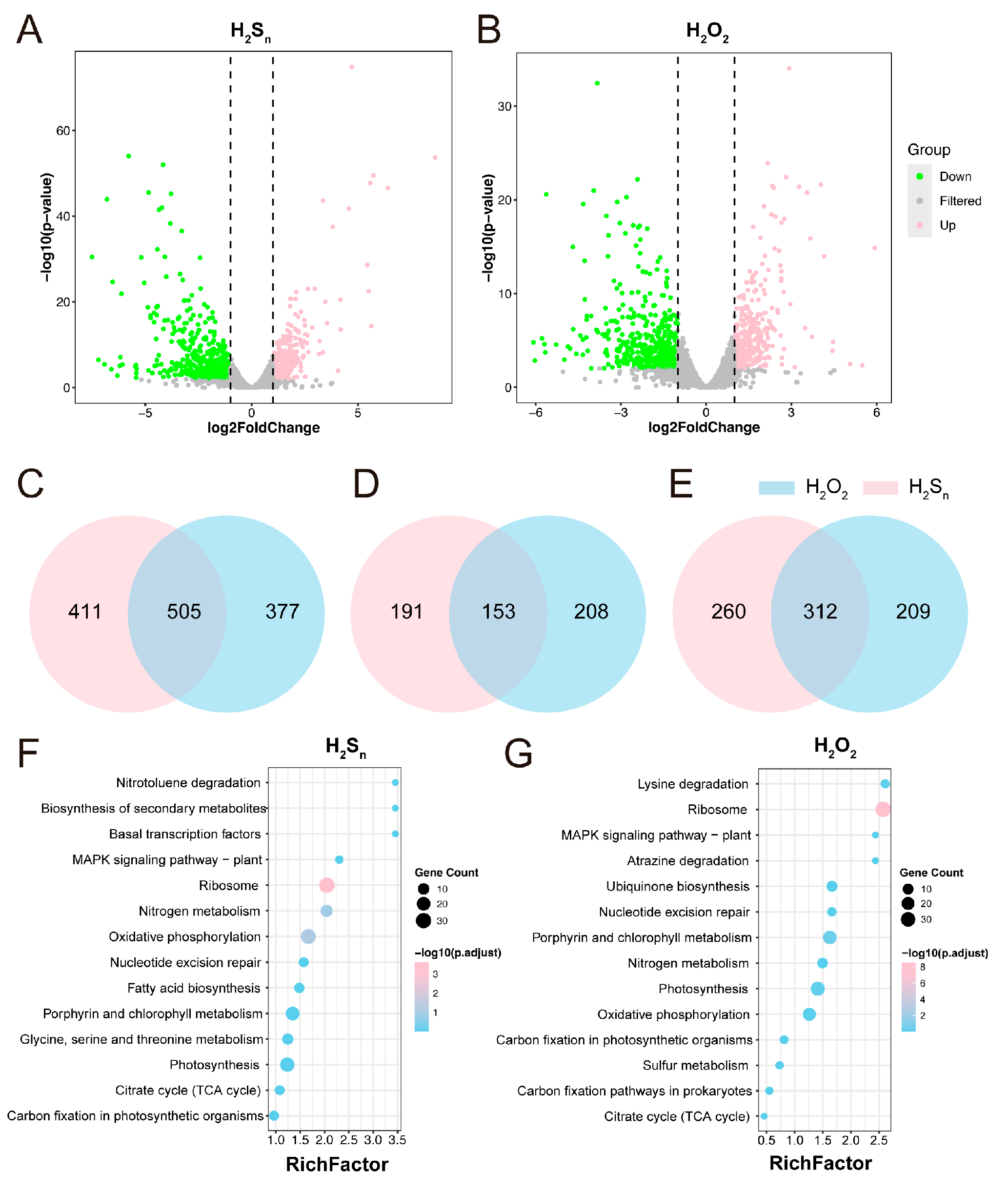 Antioxidants 14 01122 g002