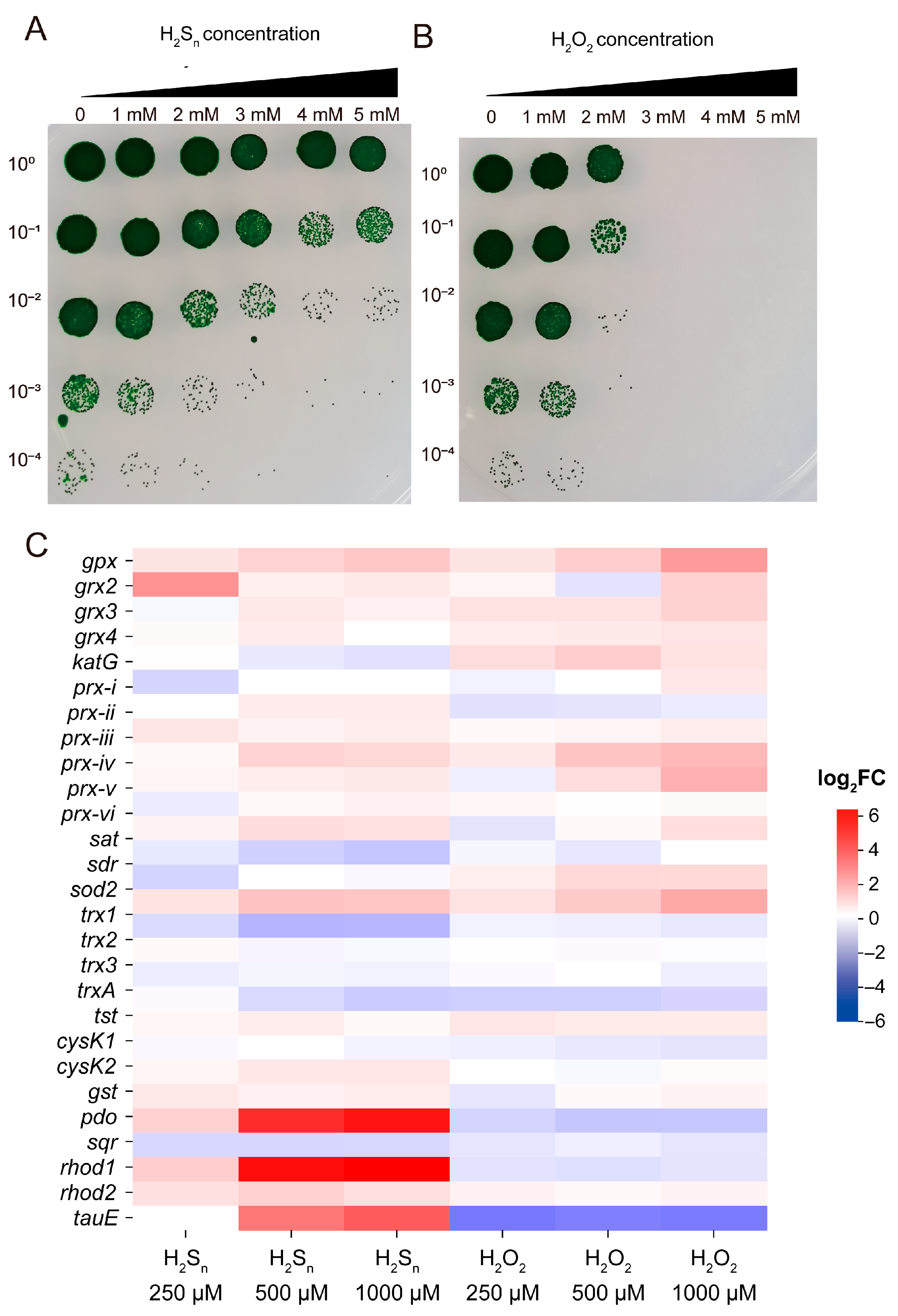 Antioxidants 14 01122 g005