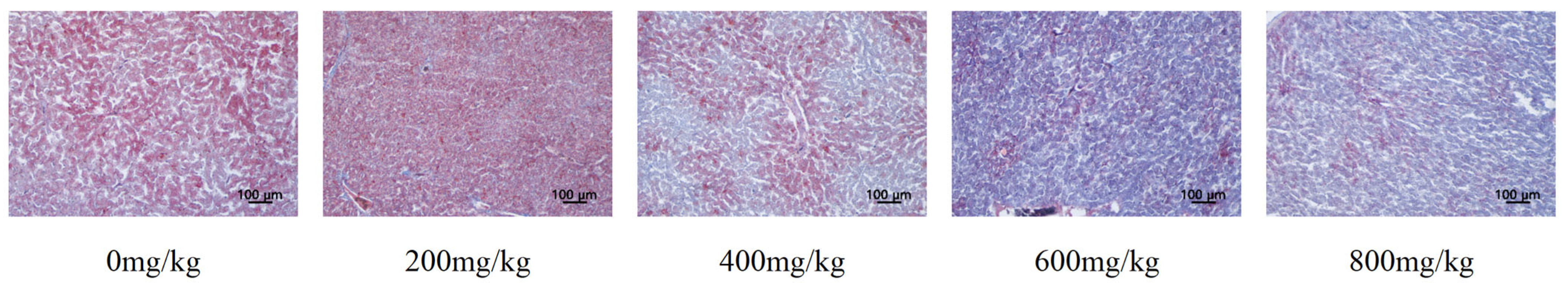 Antioxidants 14 01126 g002