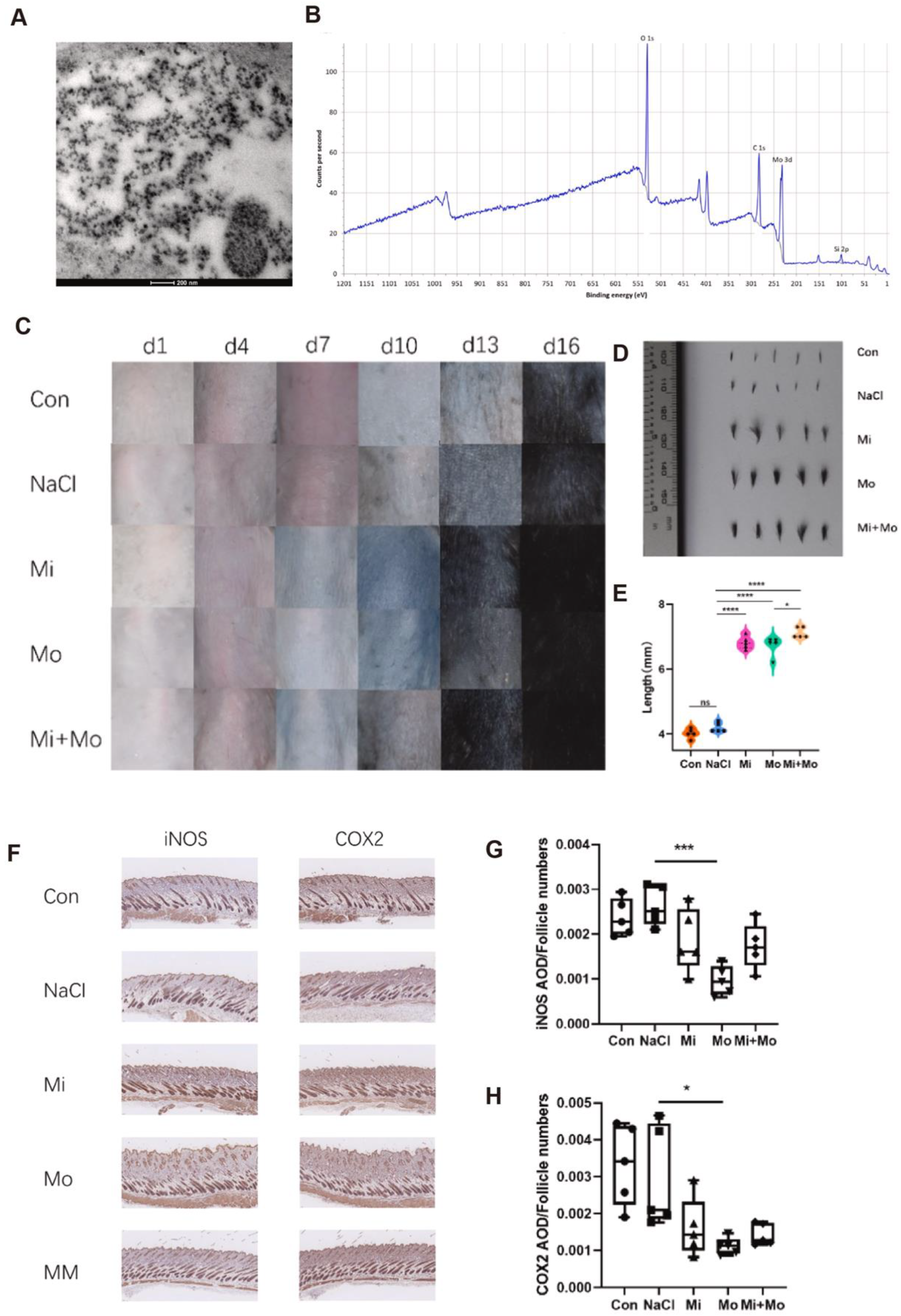 Antioxidants 14 01128 g001