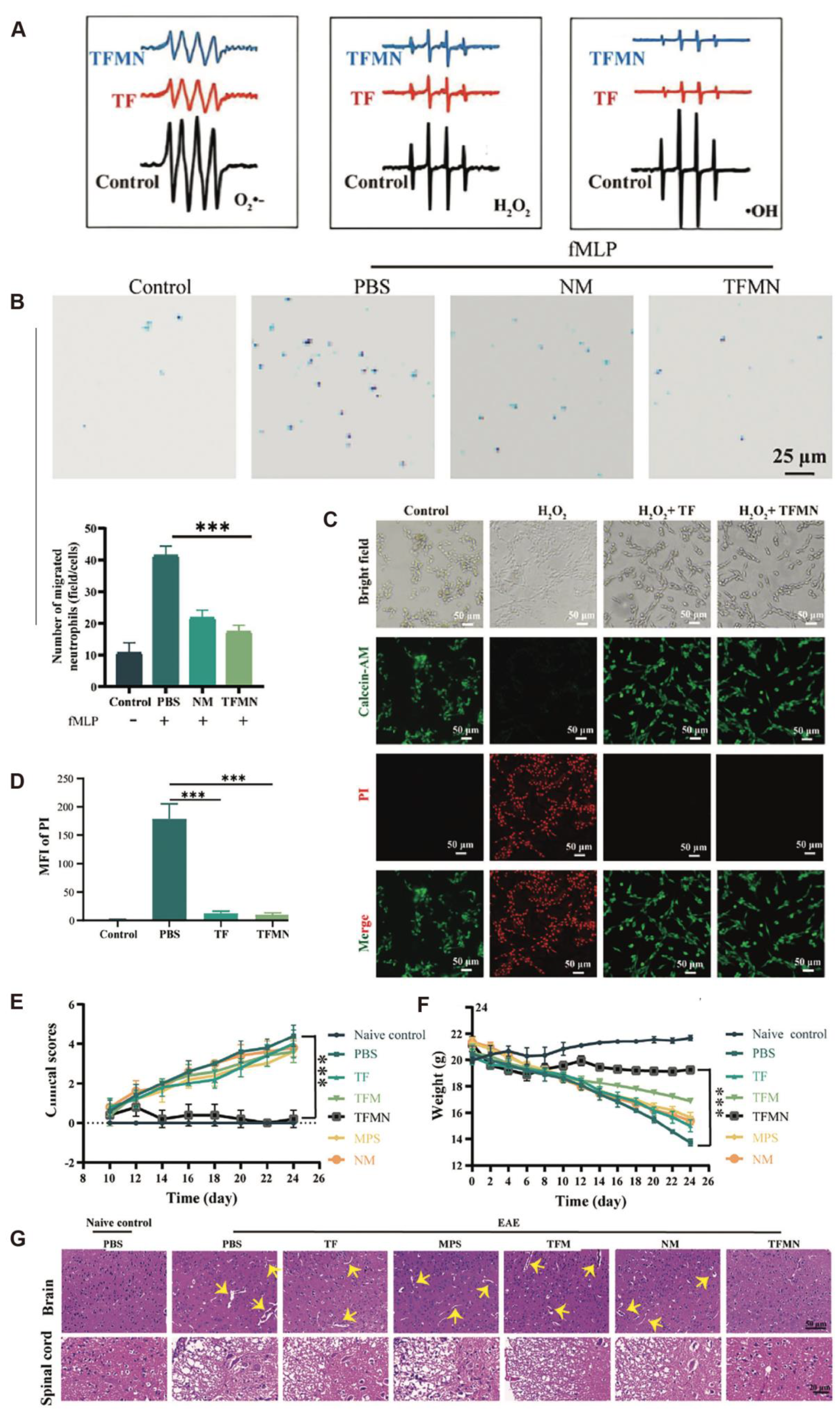 Antioxidants 14 01128 g002