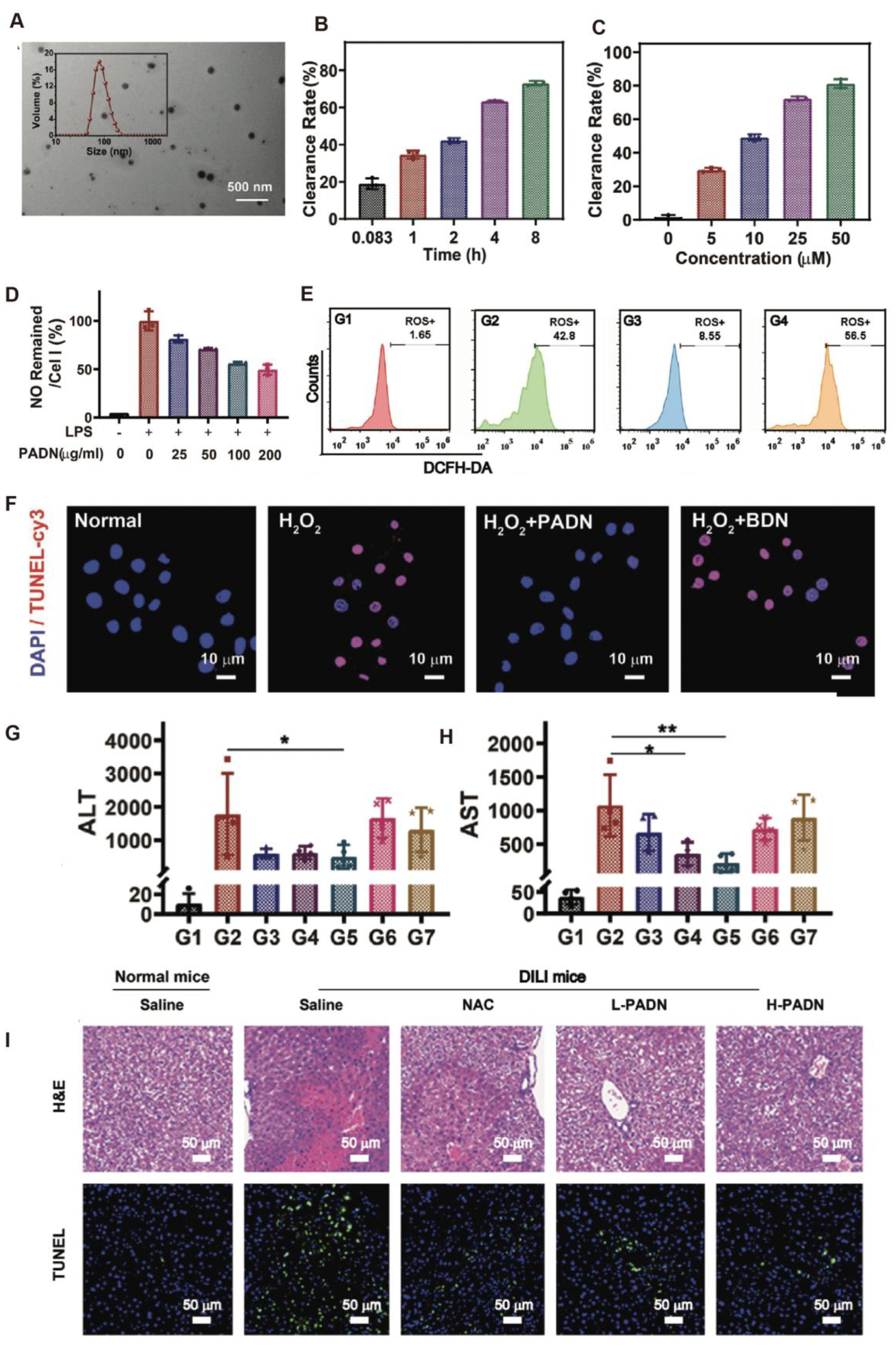 Antioxidants 14 01128 g004