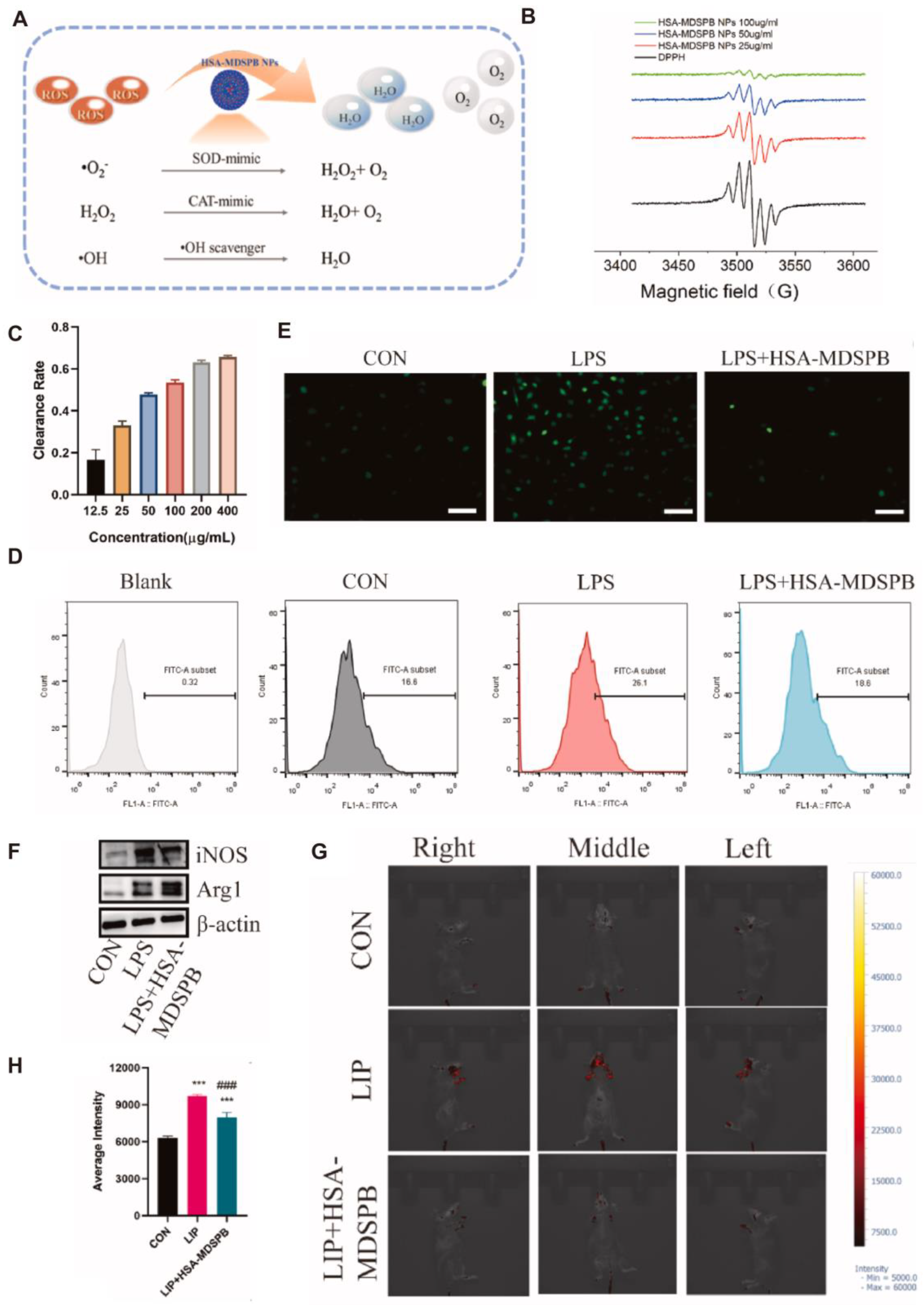 Antioxidants 14 01128 g005