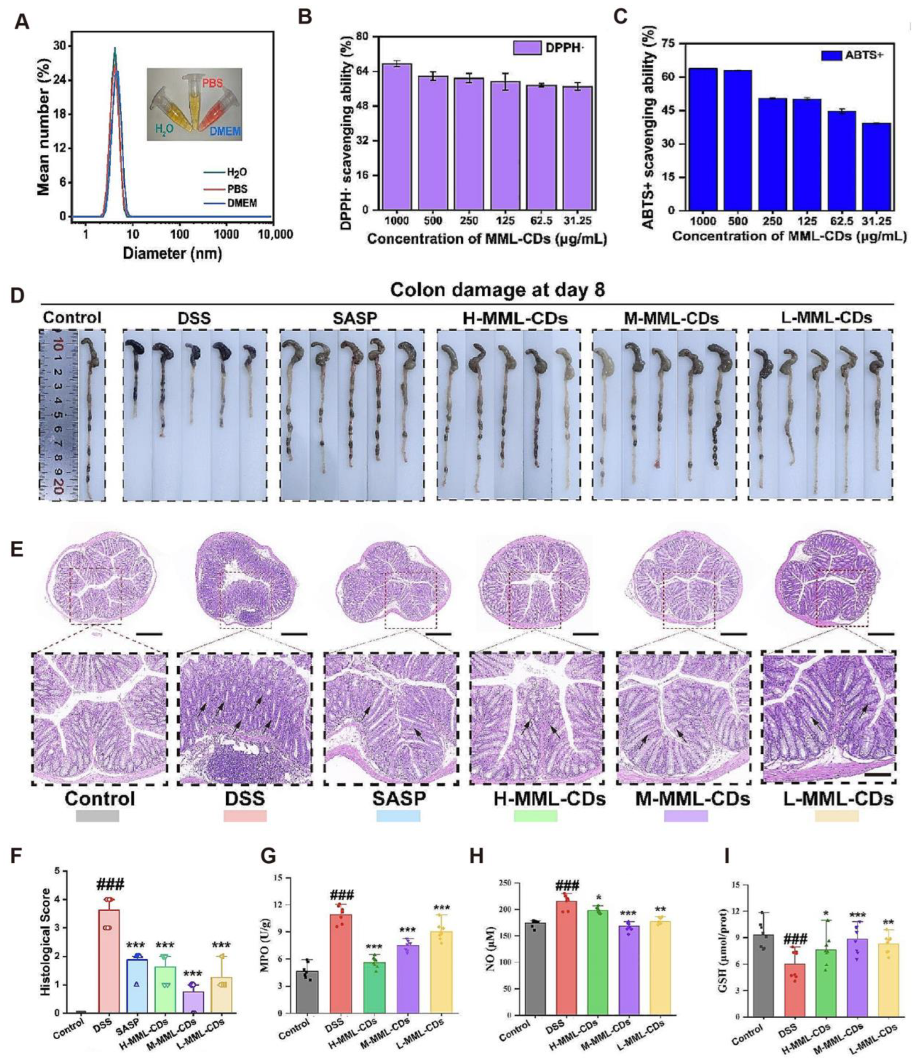 Antioxidants 14 01128 g006
