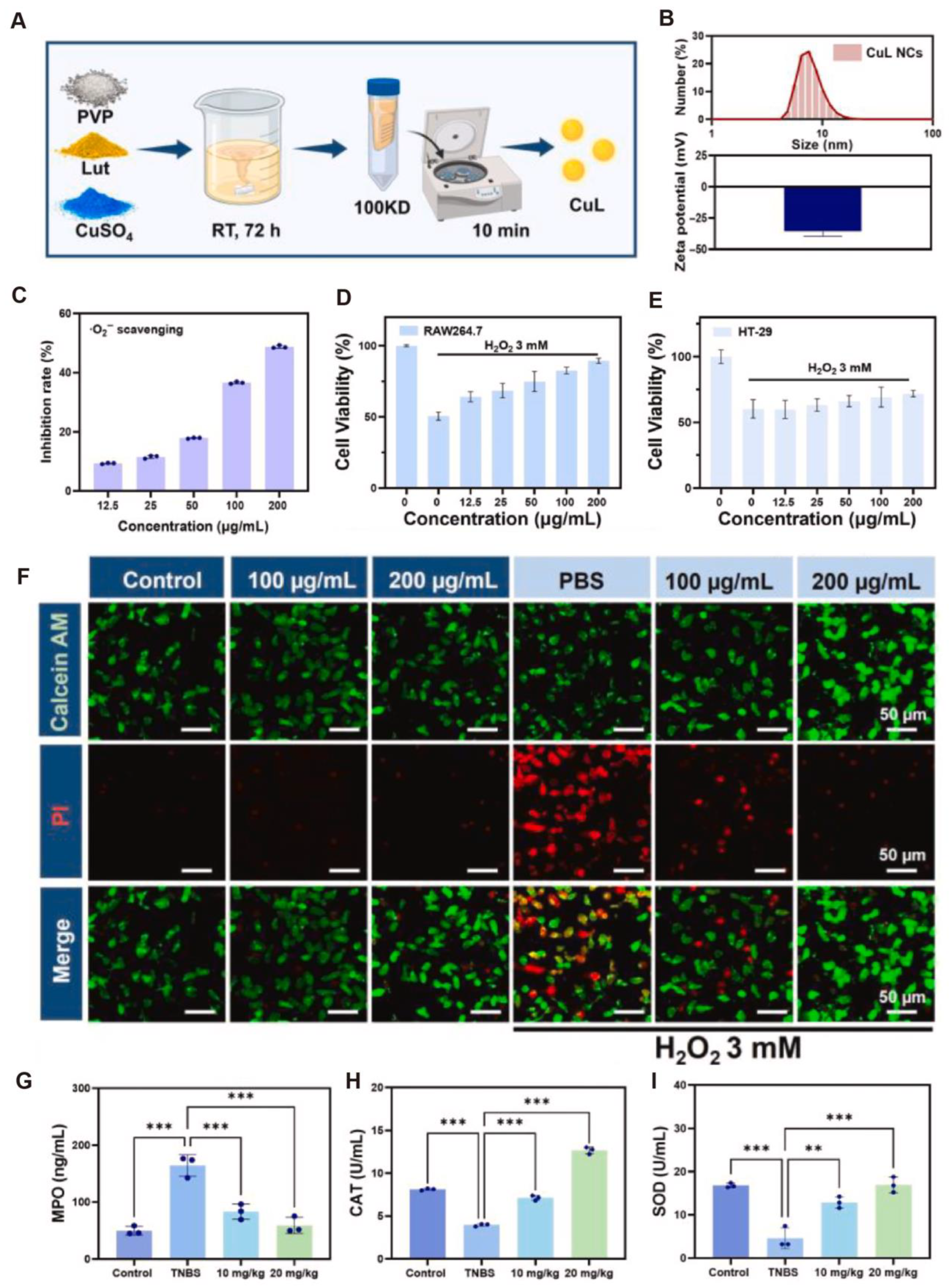 Antioxidants 14 01128 g007