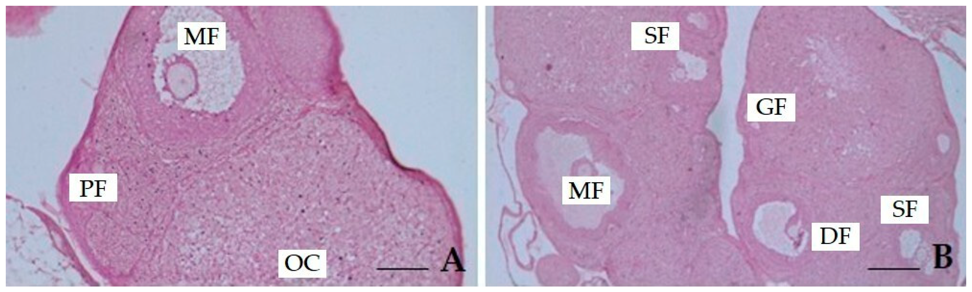 Antioxidants 14 01129 g007