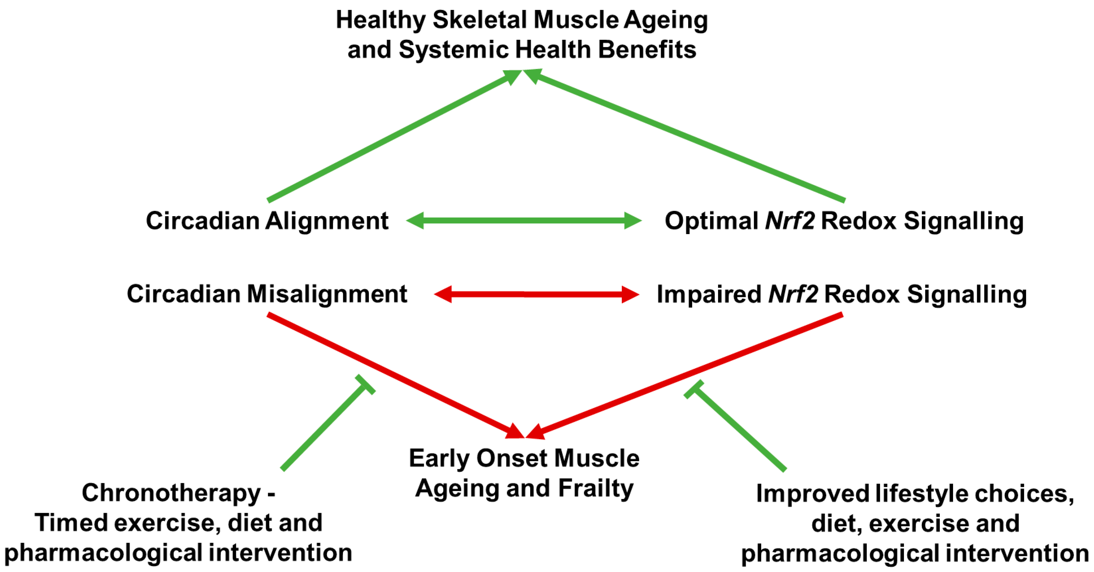 Antioxidants 14 01132 g004