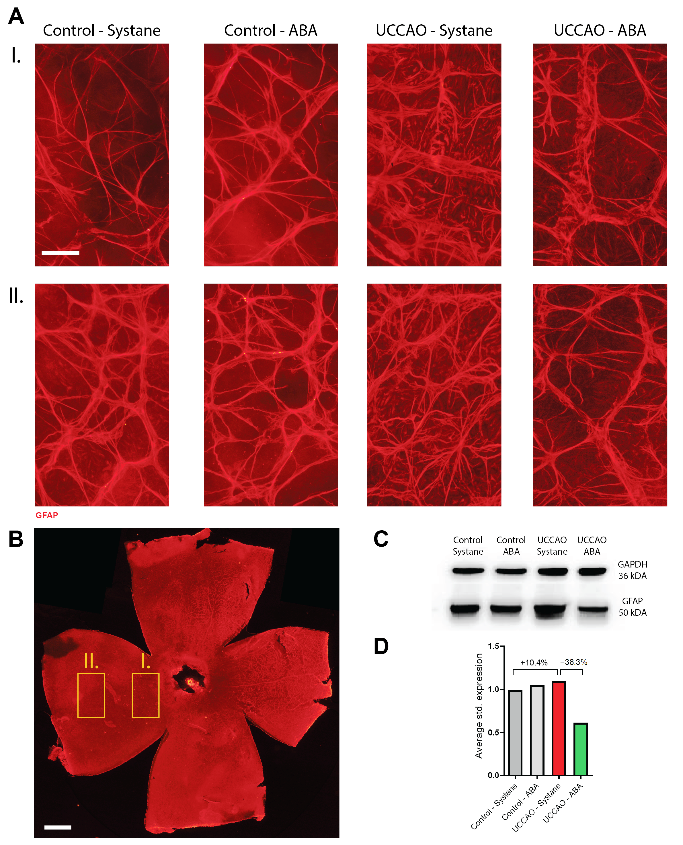 Antioxidants 14 01133 g005