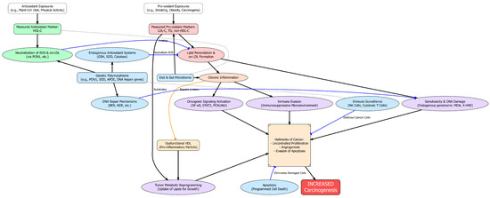 Antioxidants 14 01135 g001