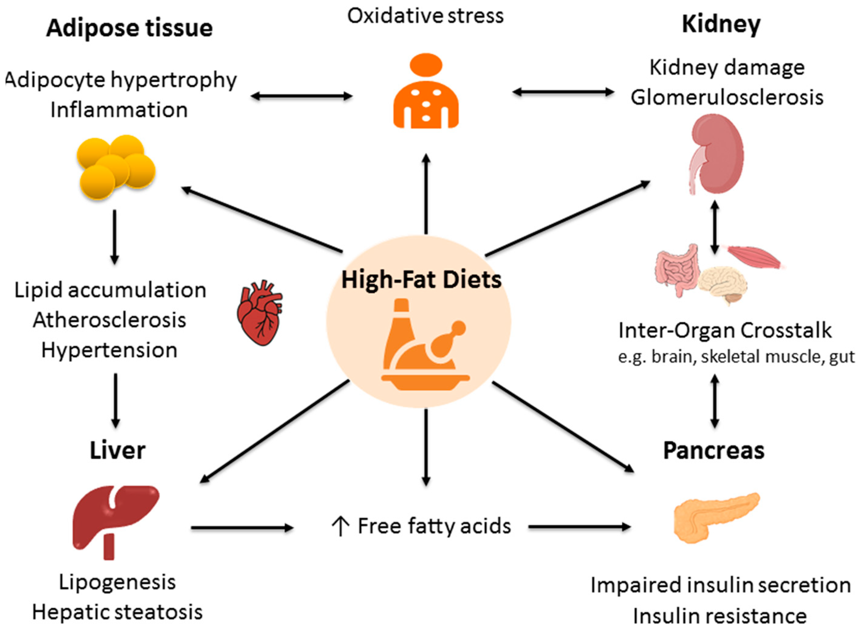 Antioxidants 14 01136 g001