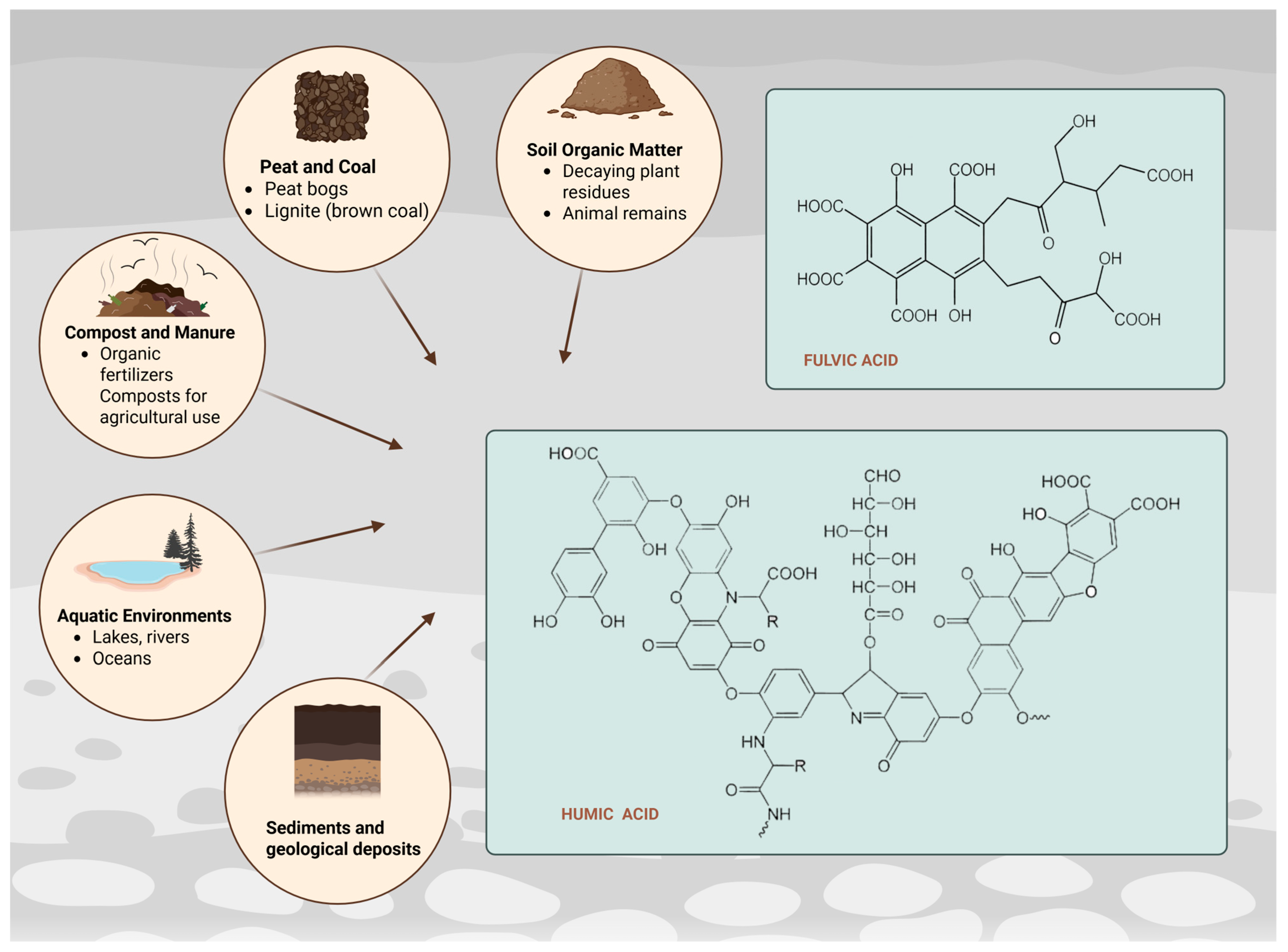 Antioxidants 14 01139 g001