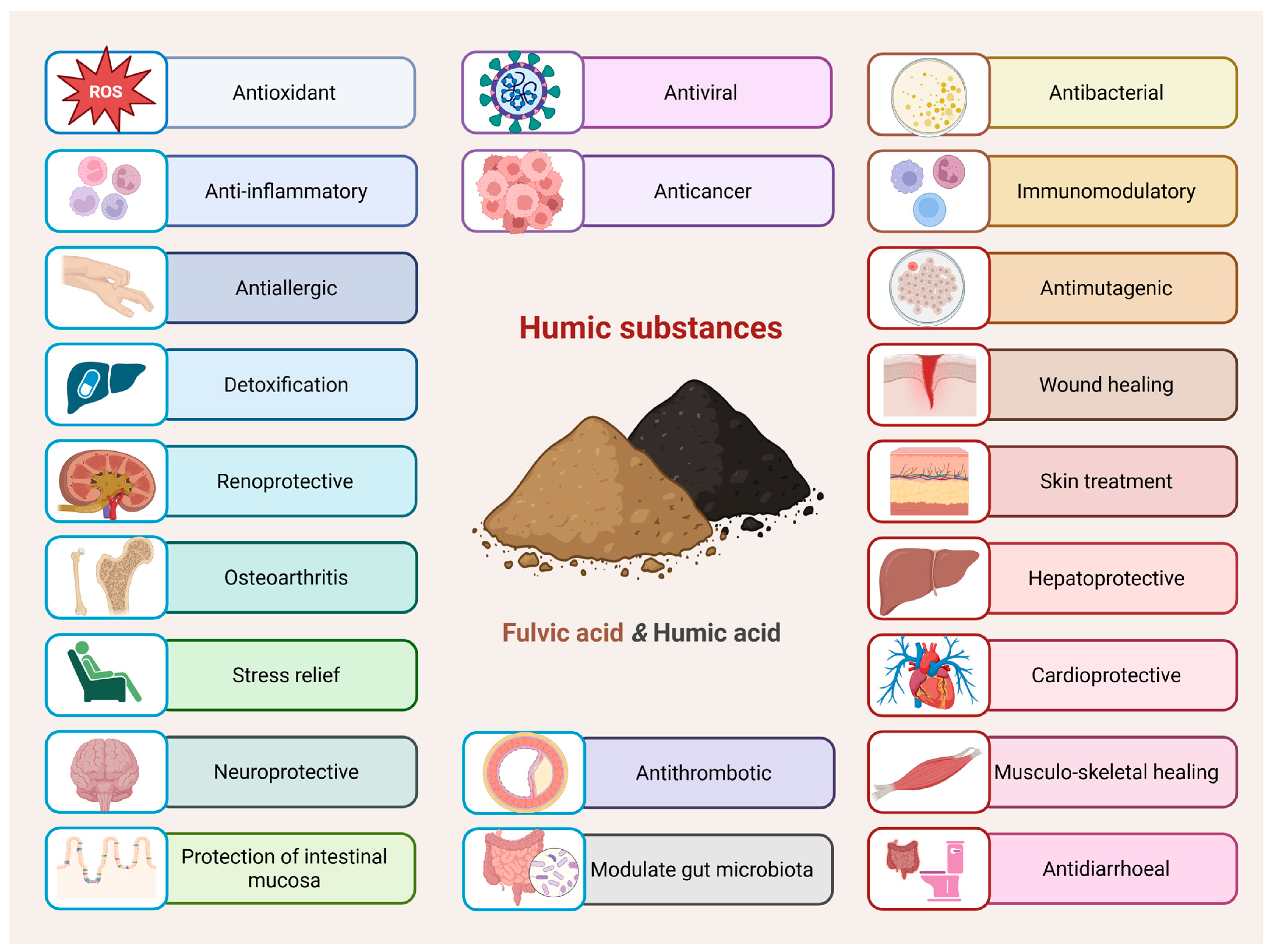 Antioxidants 14 01139 g002