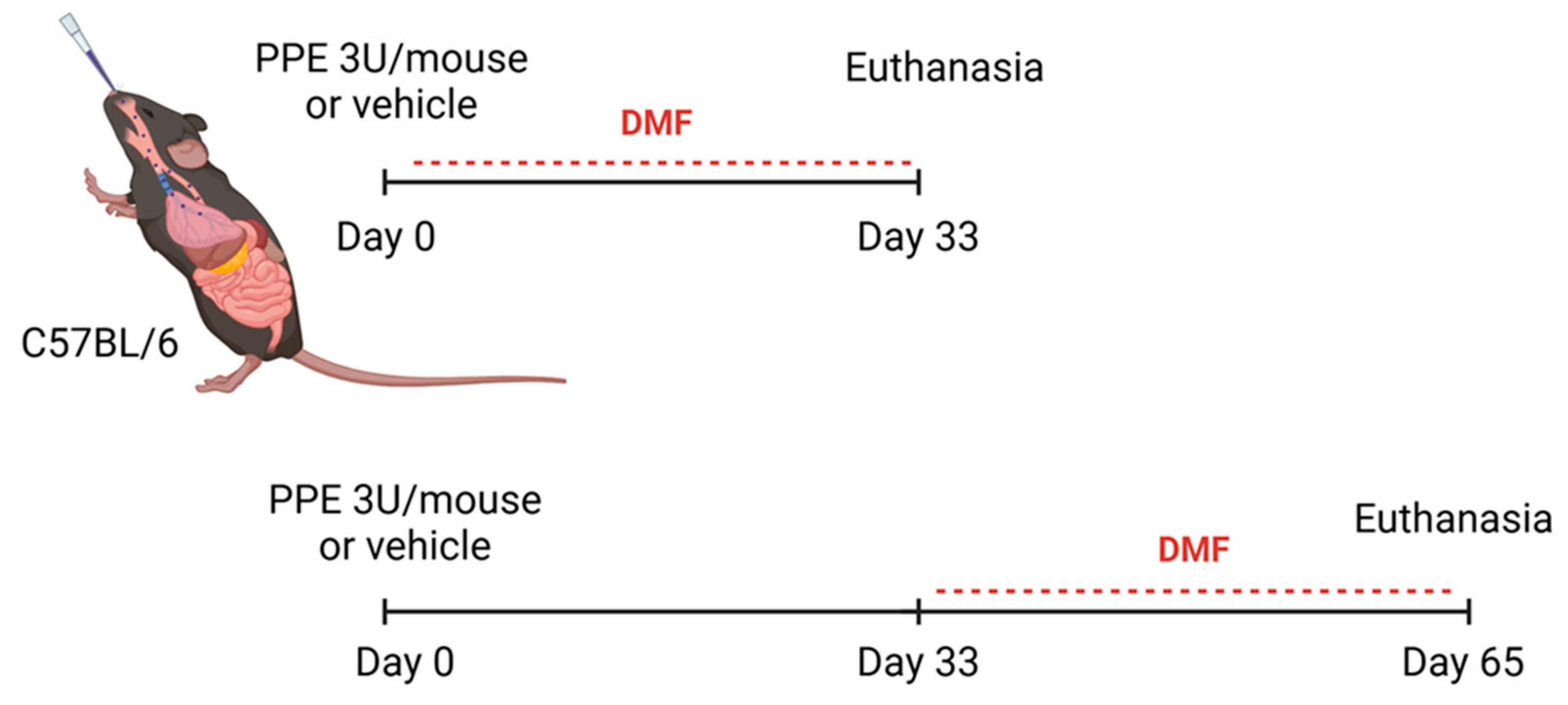 Antioxidants 14 01141 g001