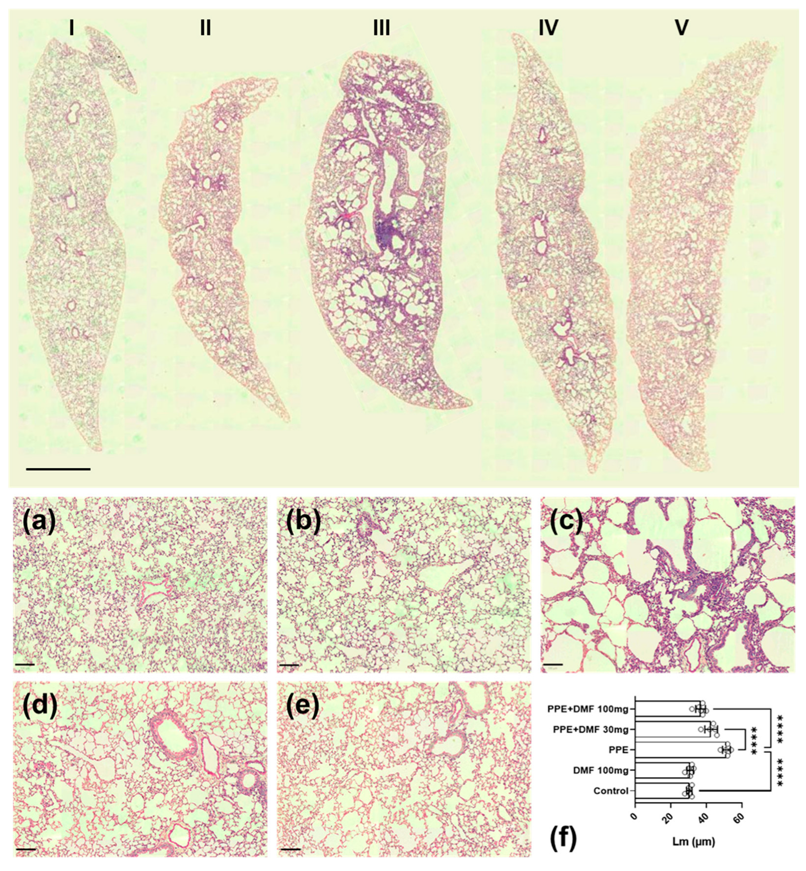 Antioxidants 14 01141 g003