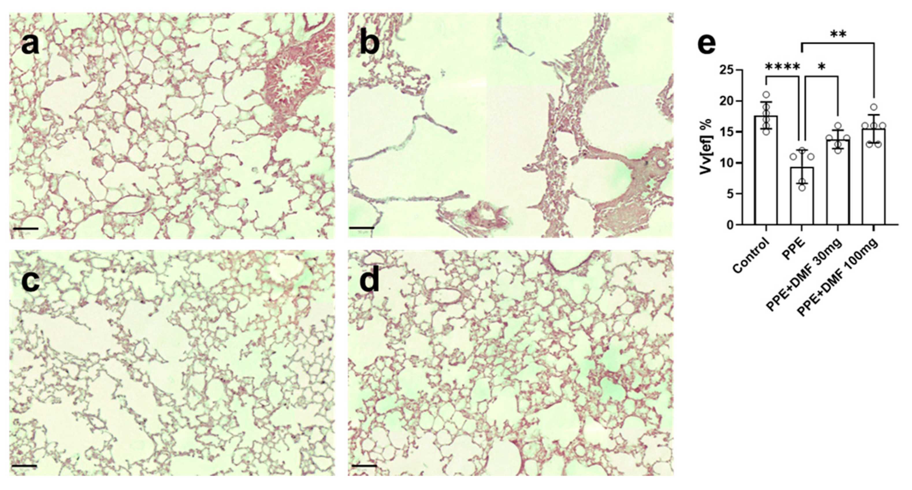 Antioxidants 14 01141 g004