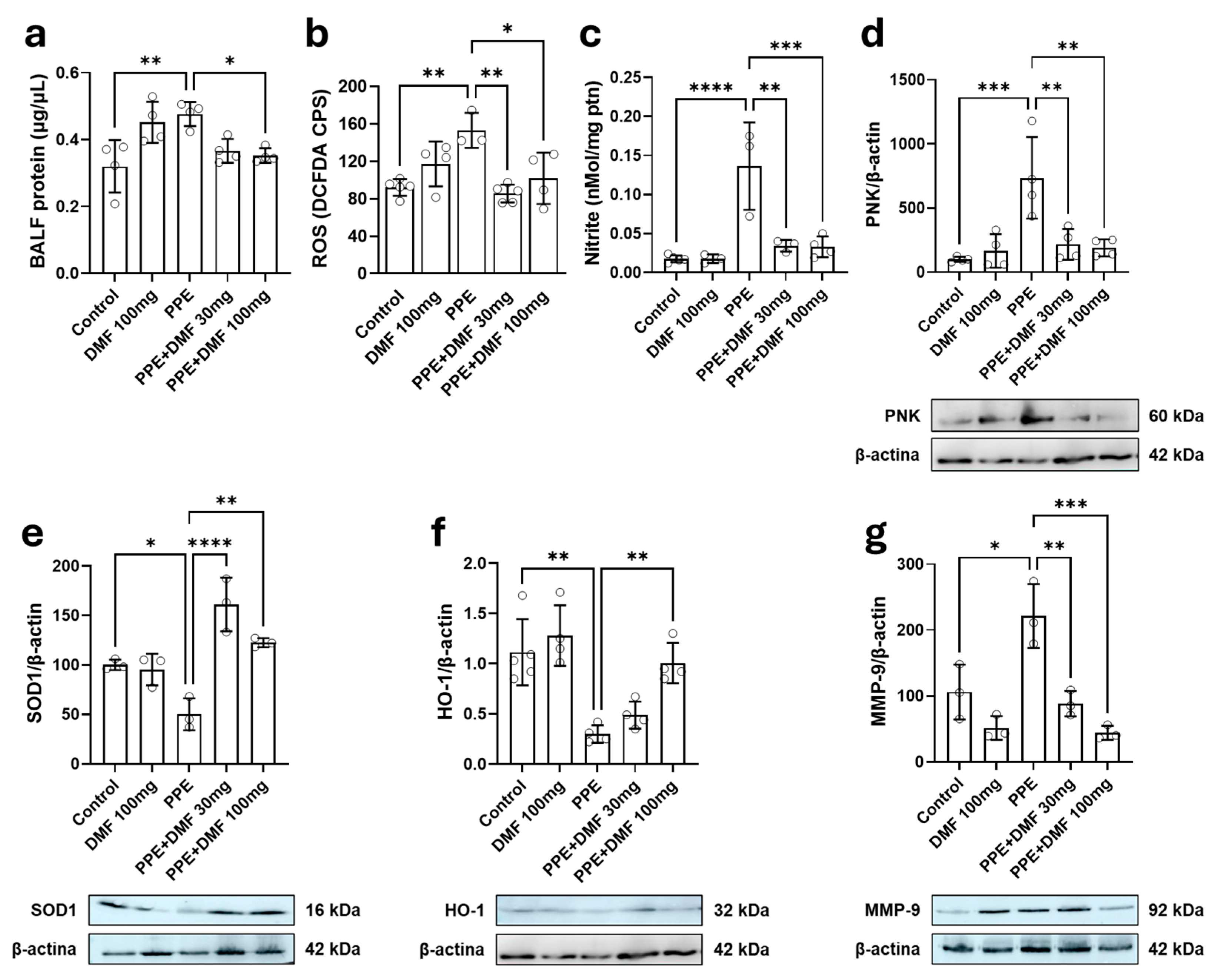 Antioxidants 14 01141 g005