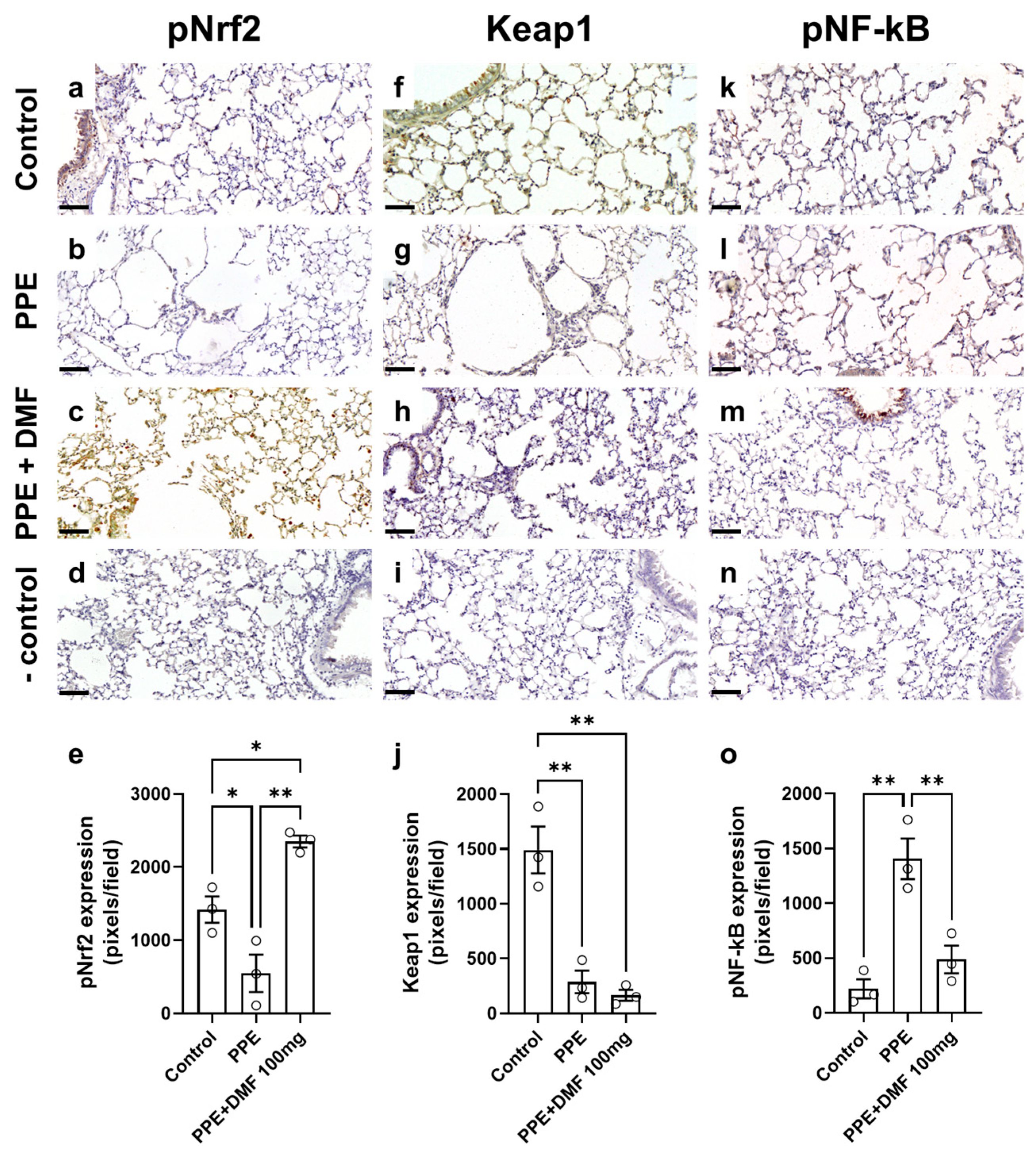Antioxidants 14 01141 g006