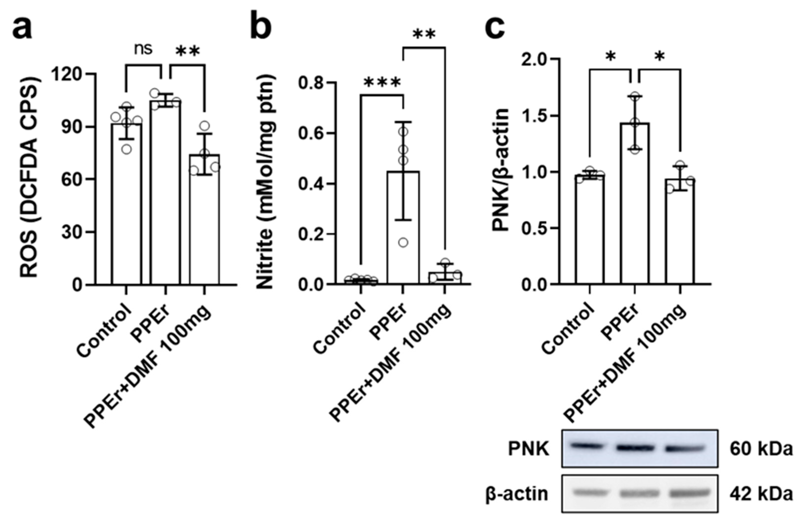 Antioxidants 14 01141 g008