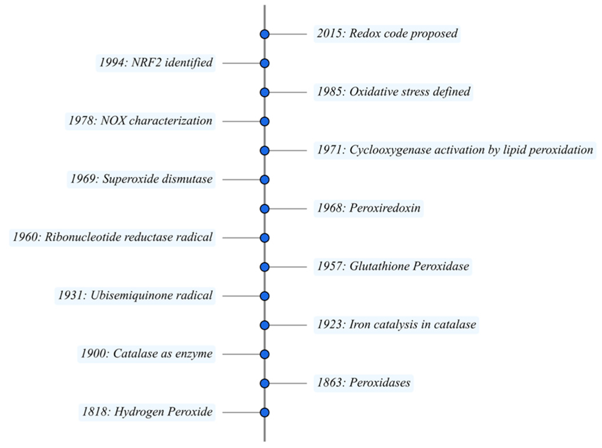 Antioxidants 14 01142 g001