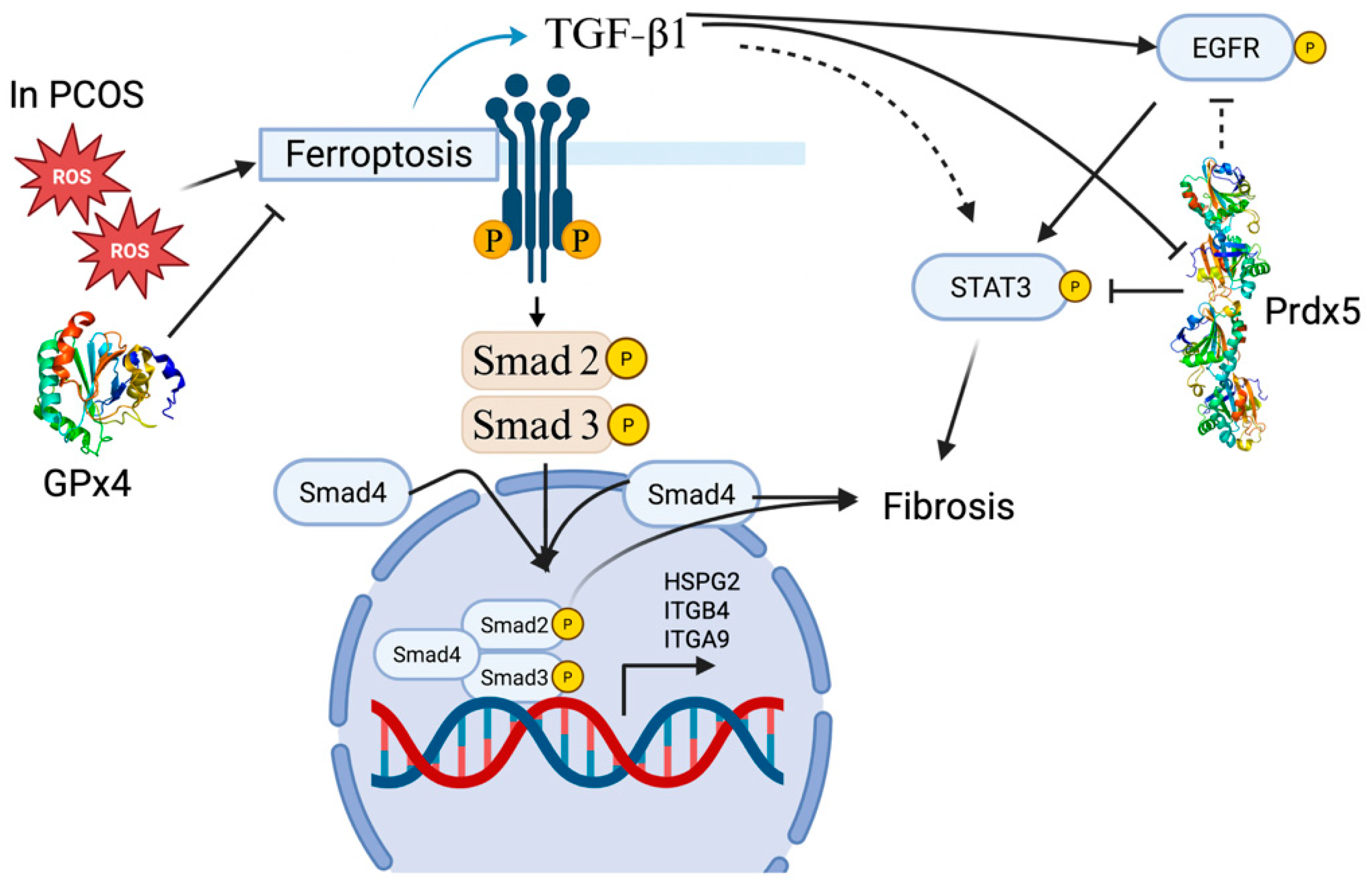 Antioxidants 14 01142 g004