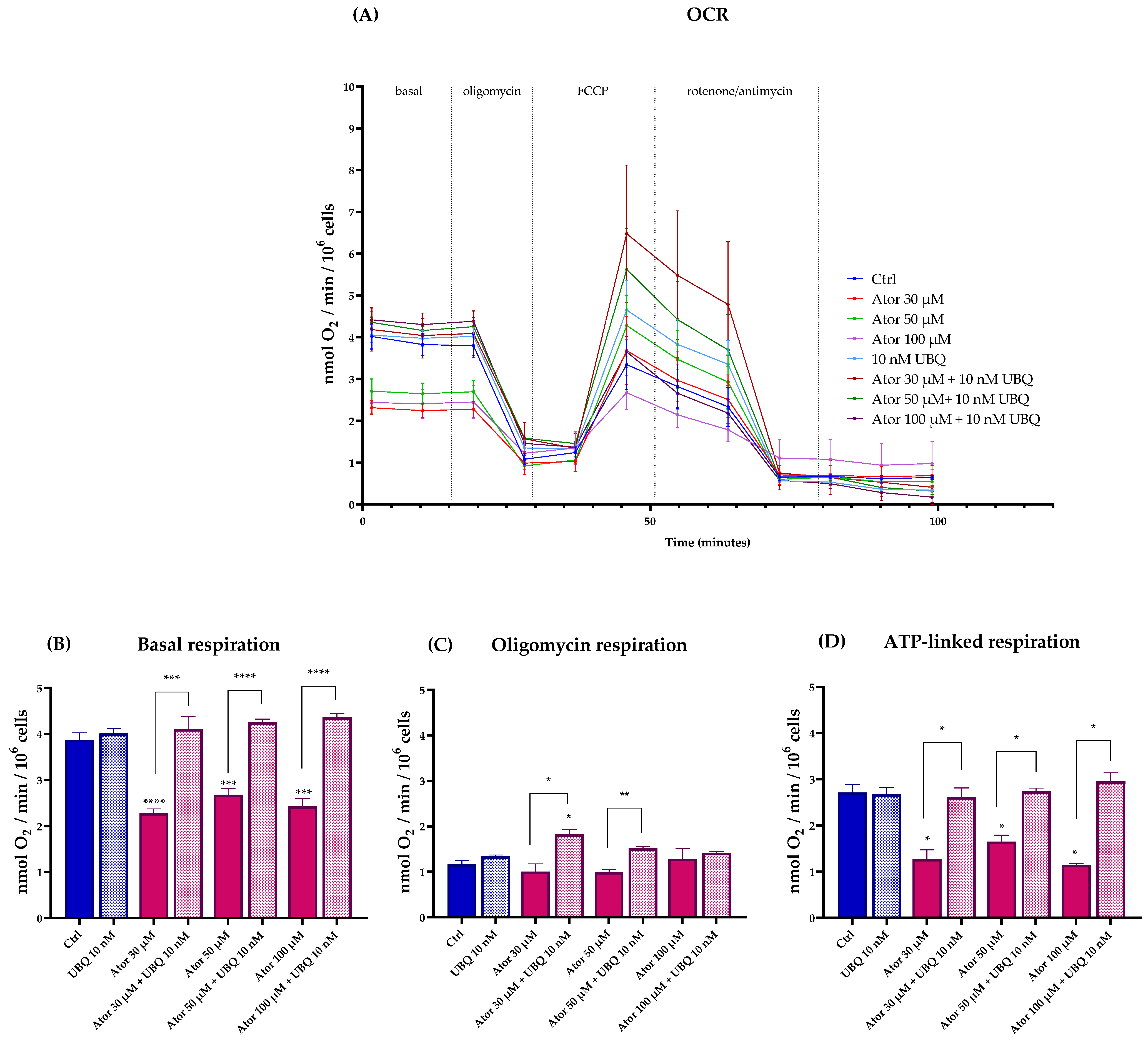 Antioxidants 14 01147 g002