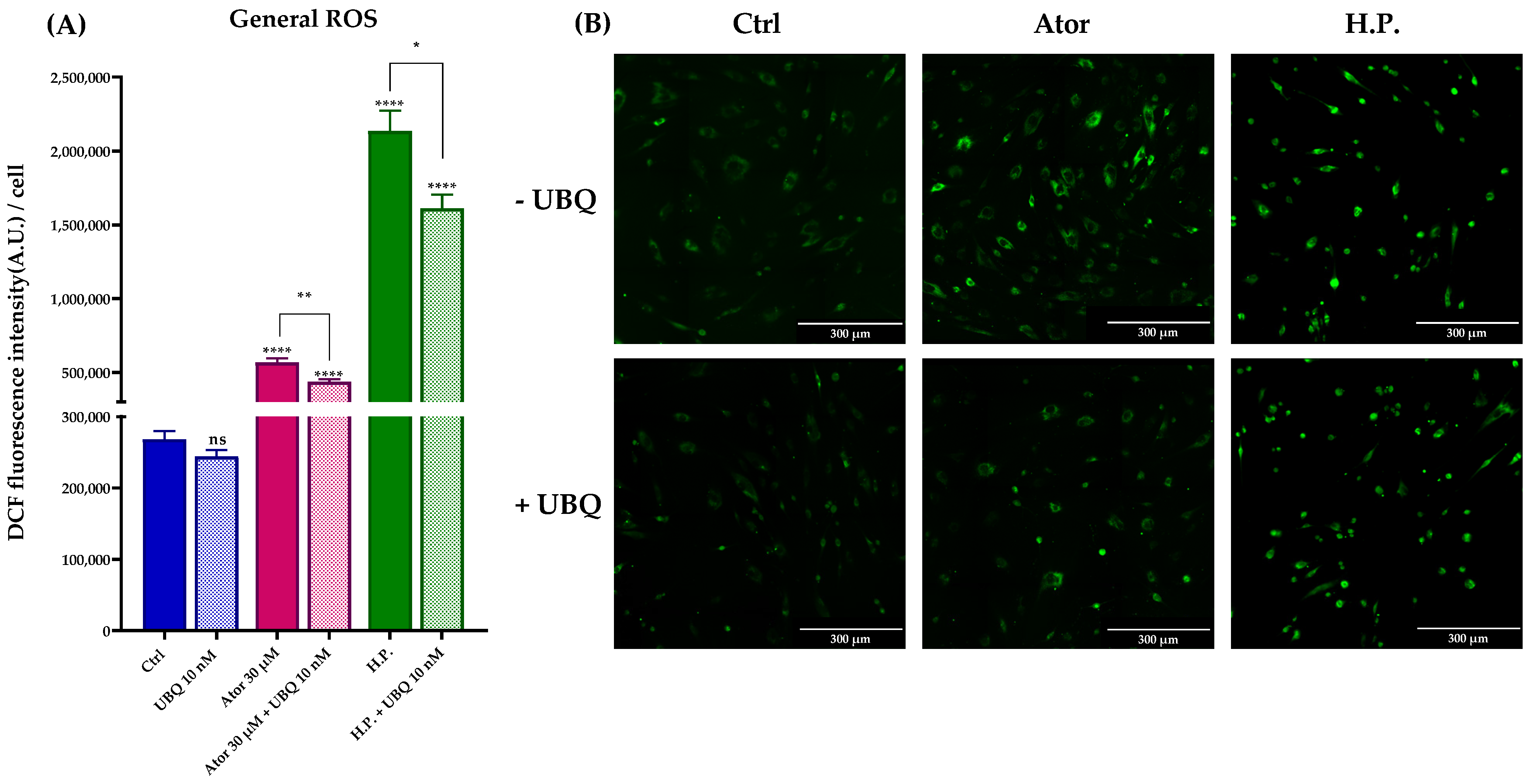 Antioxidants 14 01147 g007