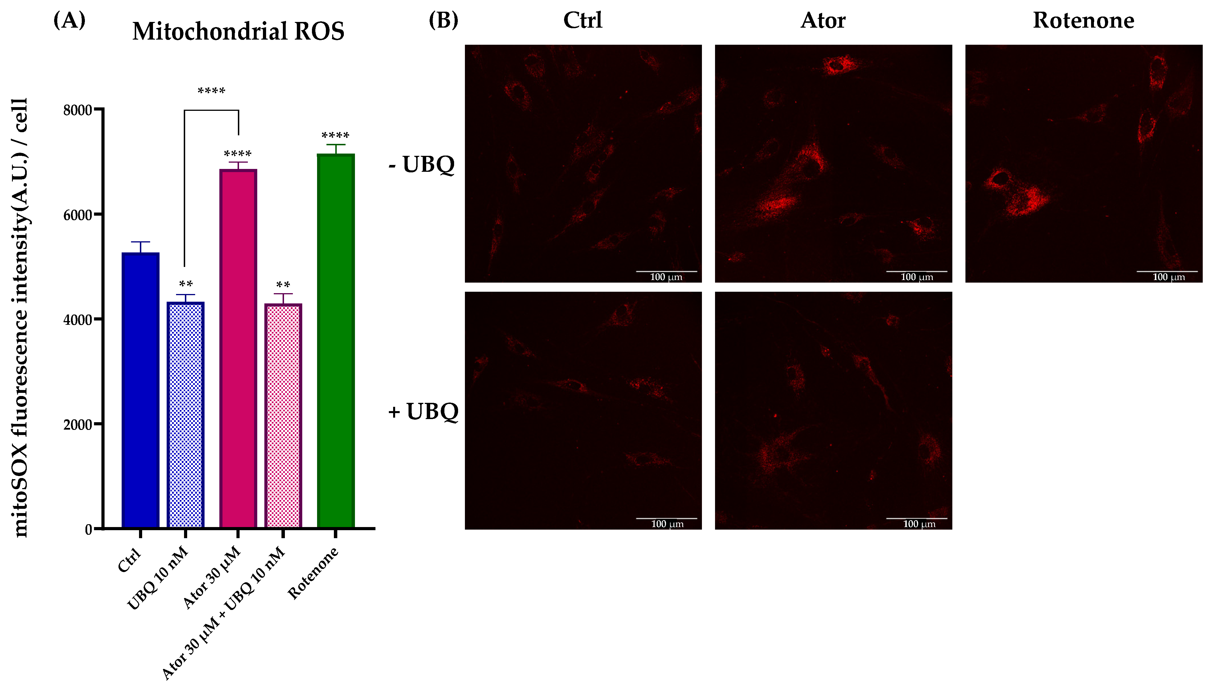 Antioxidants 14 01147 g008