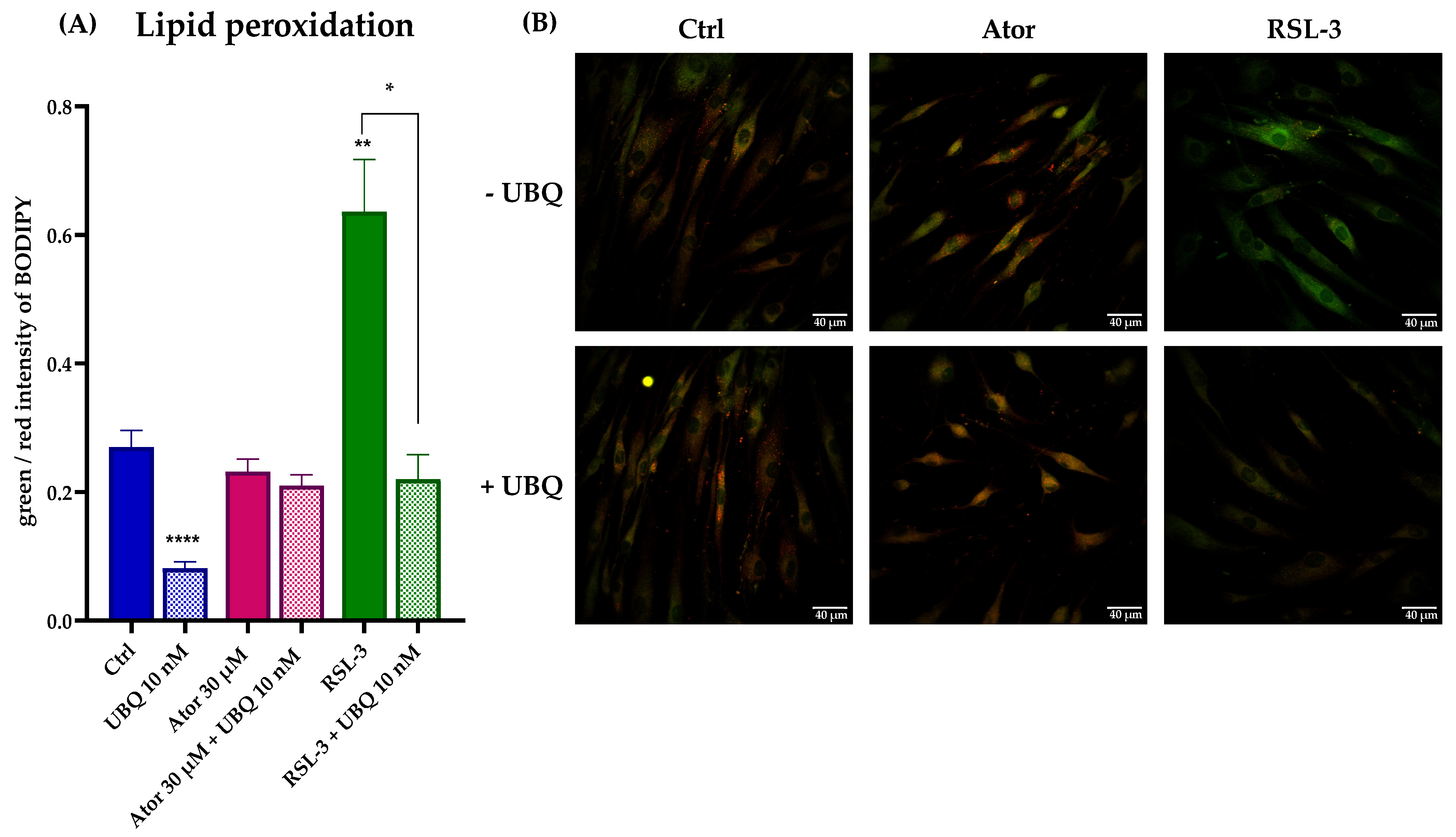 Antioxidants 14 01147 g009