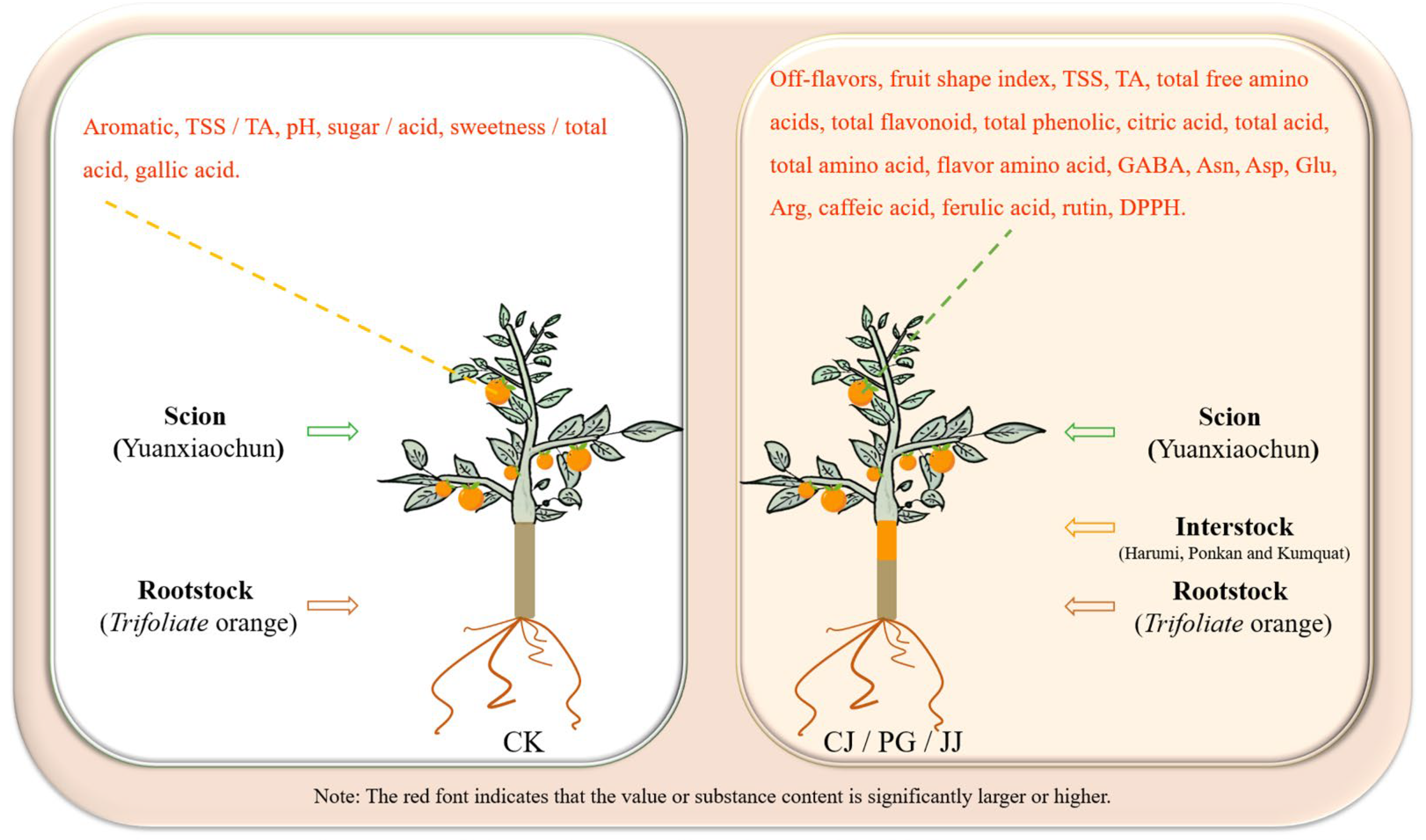 Antioxidants 14 01149 g009 Antioxidants 14 01149 g009