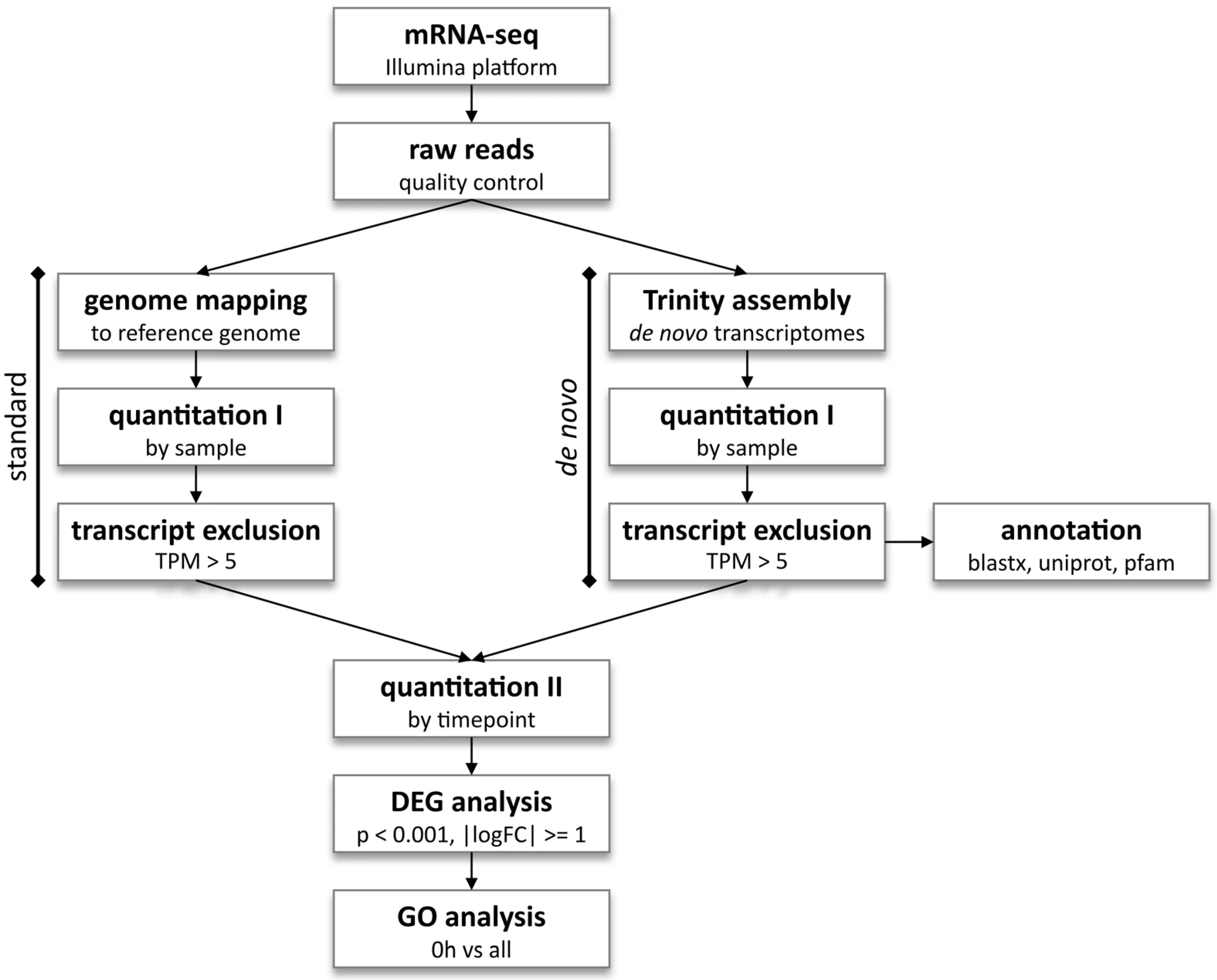 Antioxidants 14 01151 g001