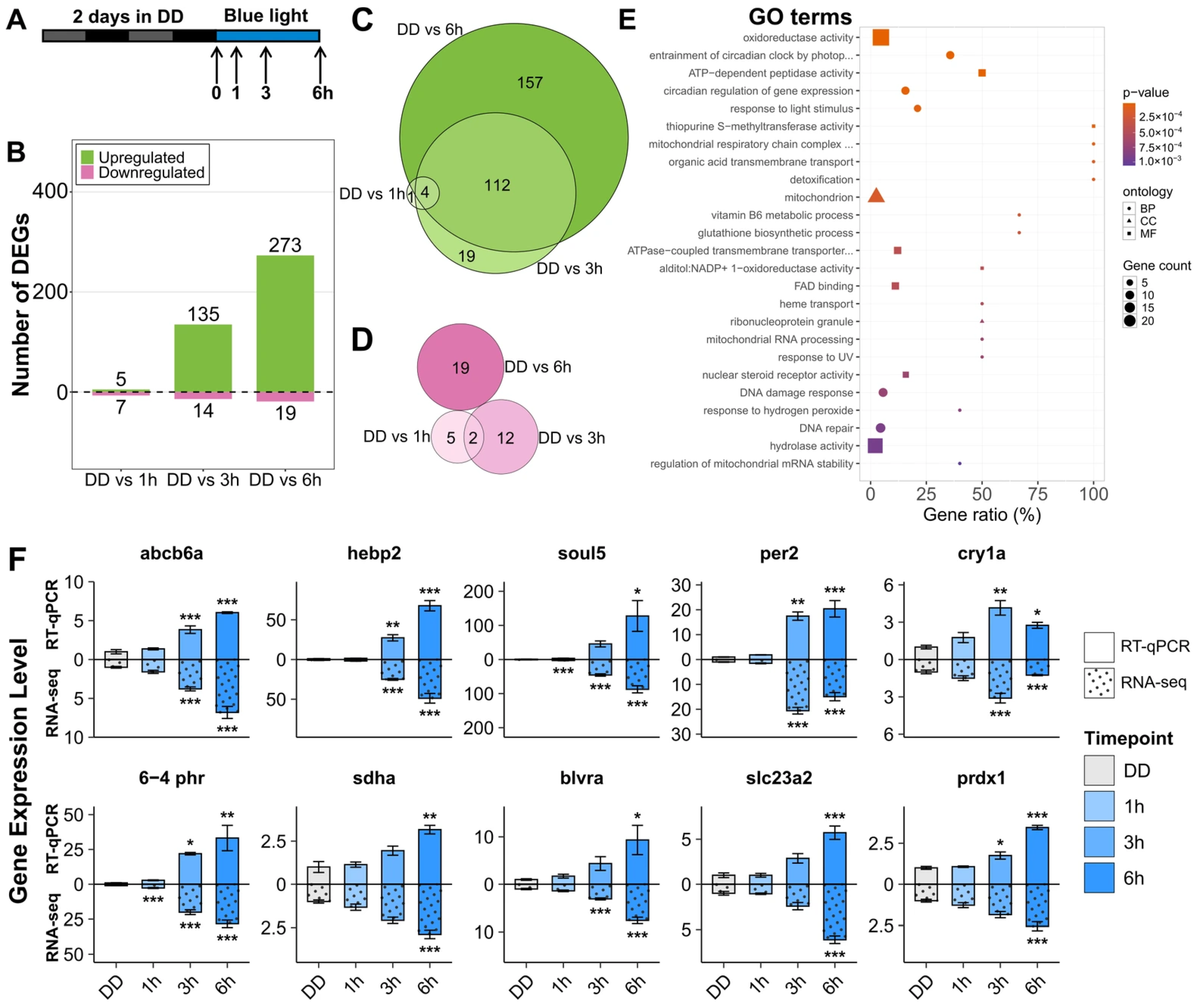 Antioxidants 14 01151 g002