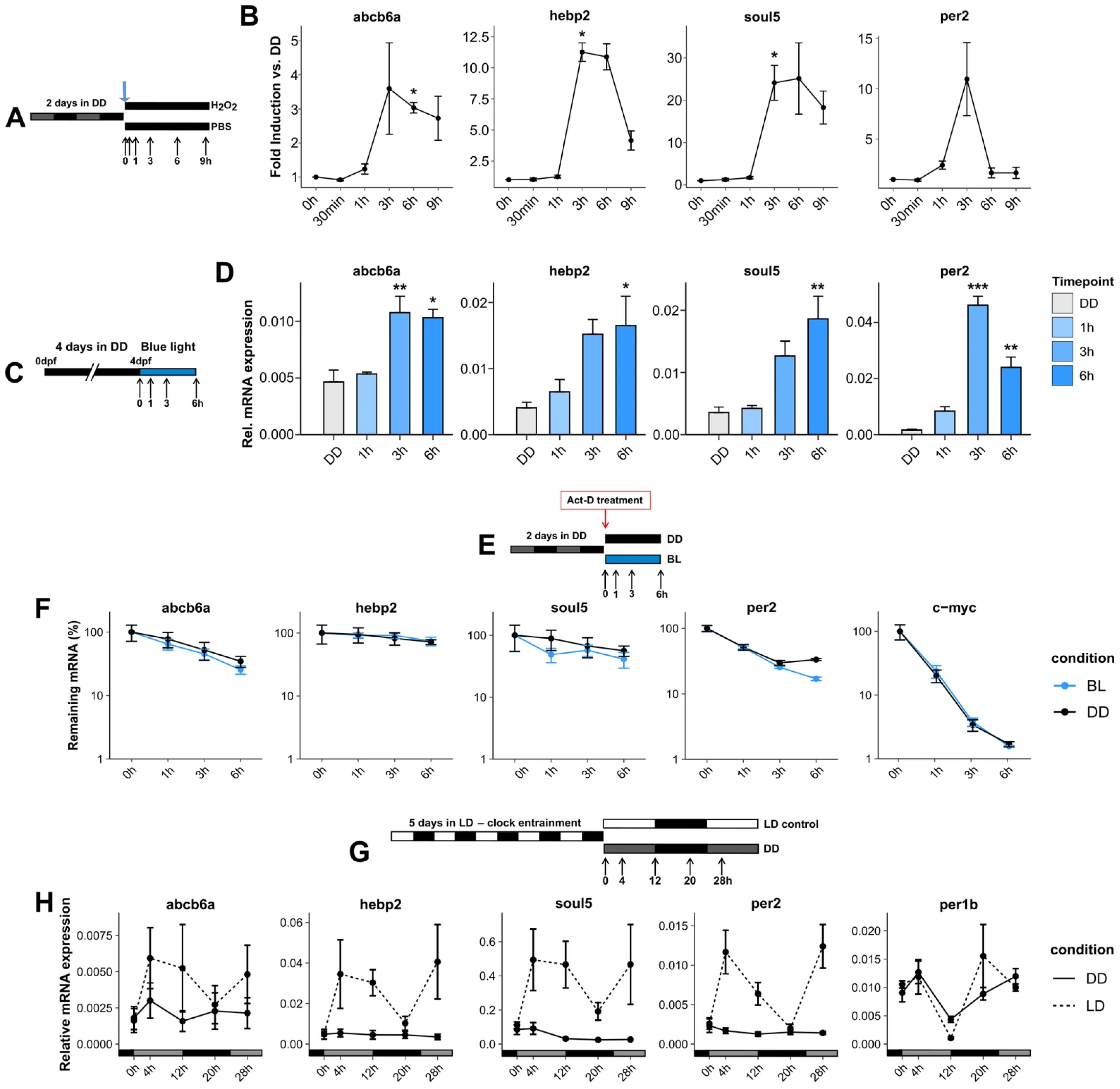 Antioxidants 14 01151 g004