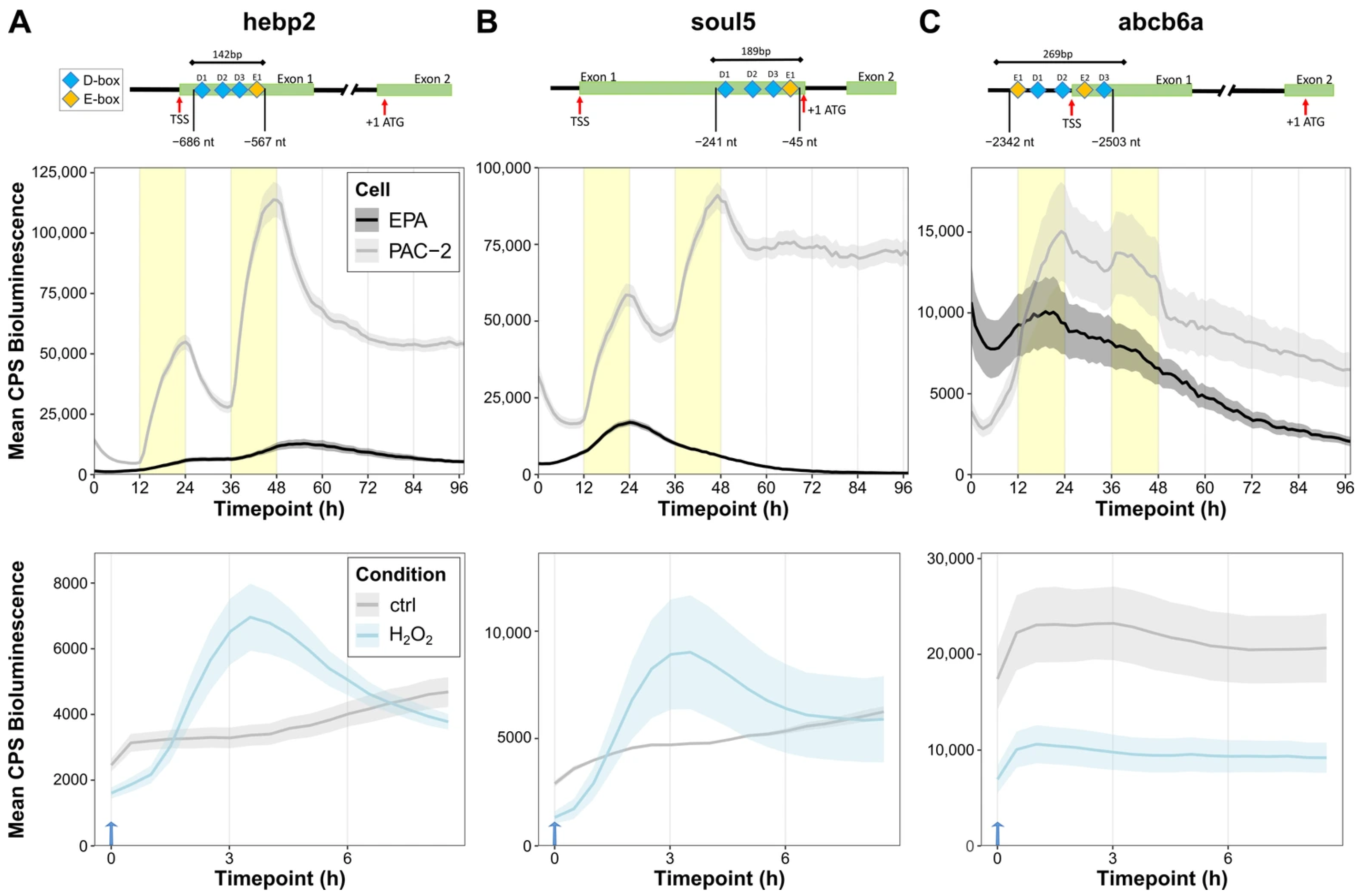 Antioxidants 14 01151 g005