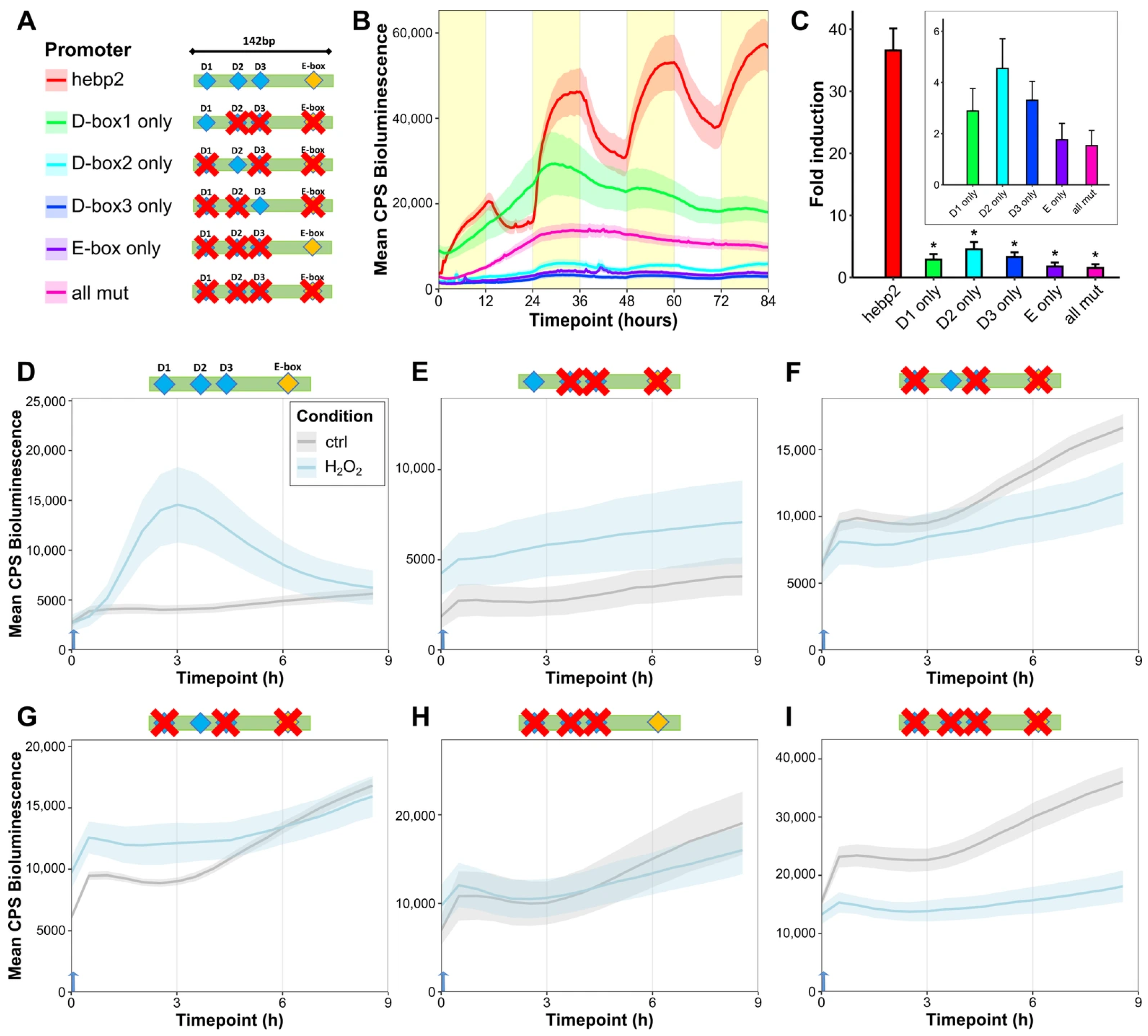 Antioxidants 14 01151 g006