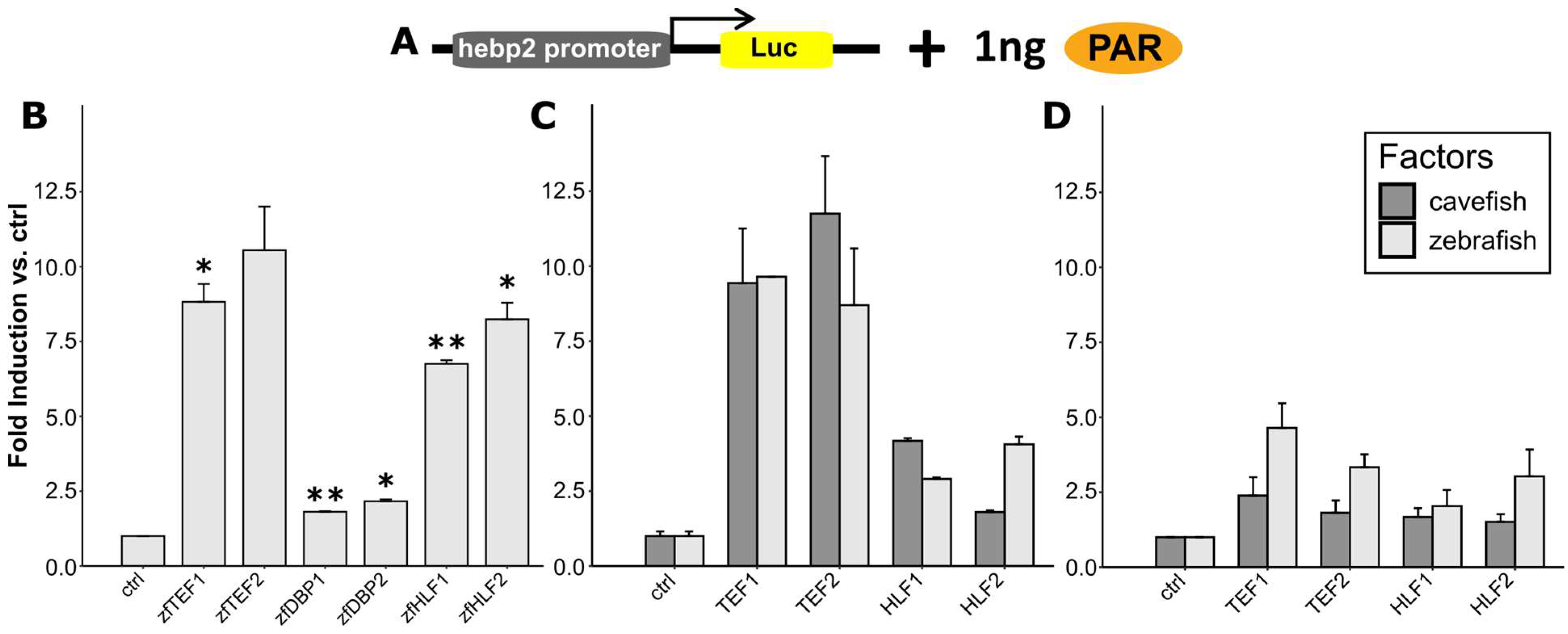 Antioxidants 14 01151 g007