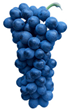 Antioxidants 14 01152 i017