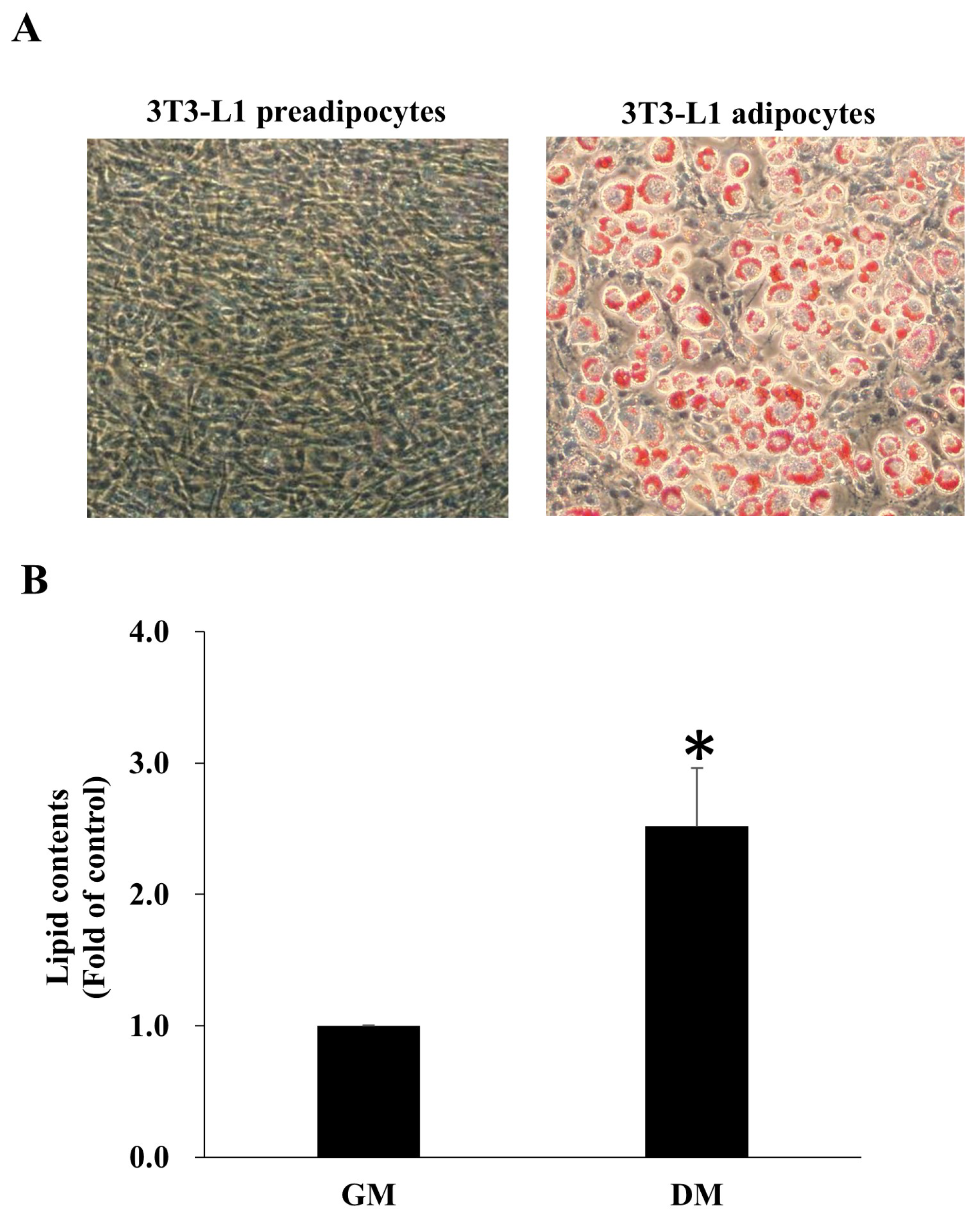 Antioxidants 14 01155 g002 Antioxidants 14 01155 g002