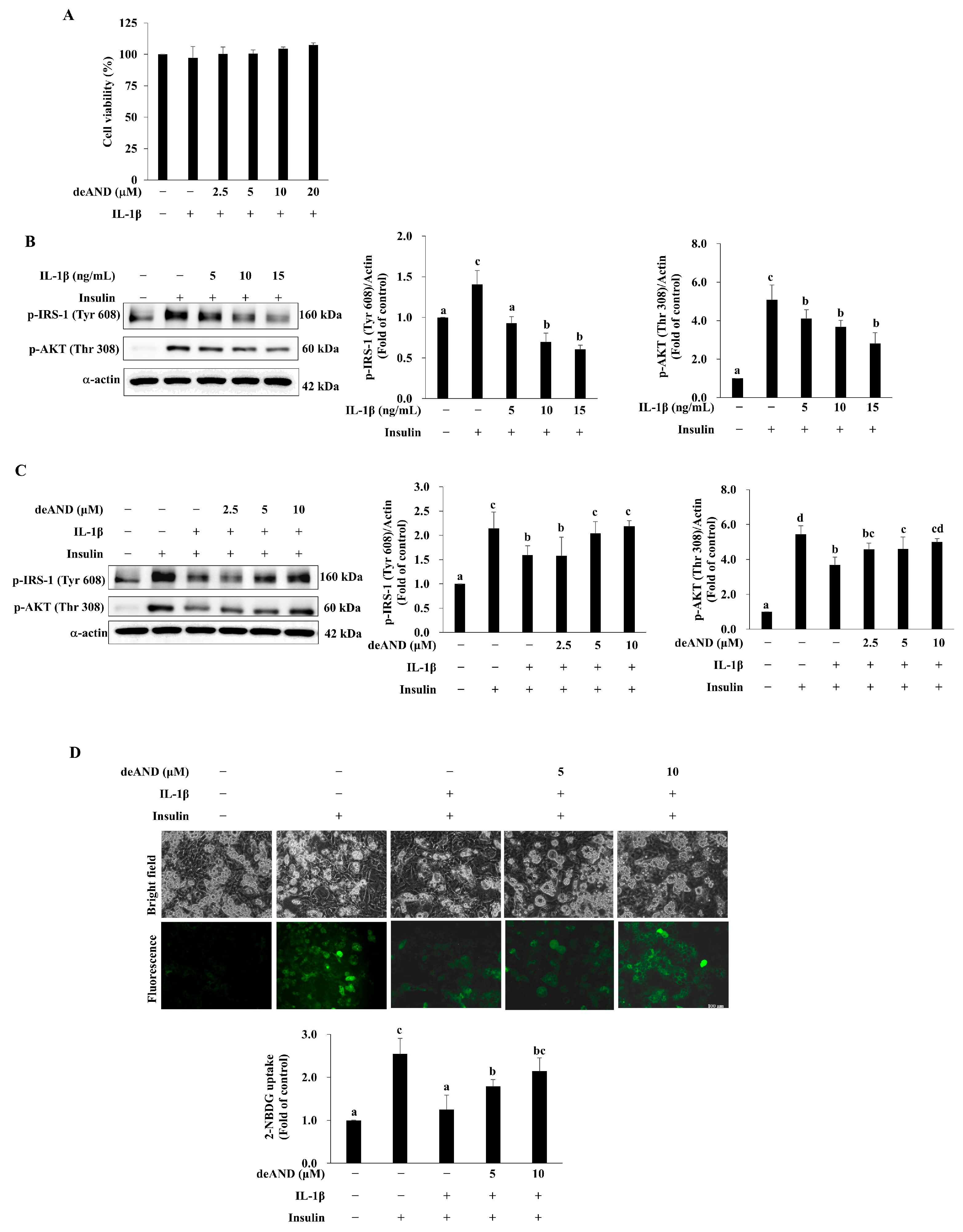 Antioxidants 14 01155 g003 Antioxidants 14 01155 g003
