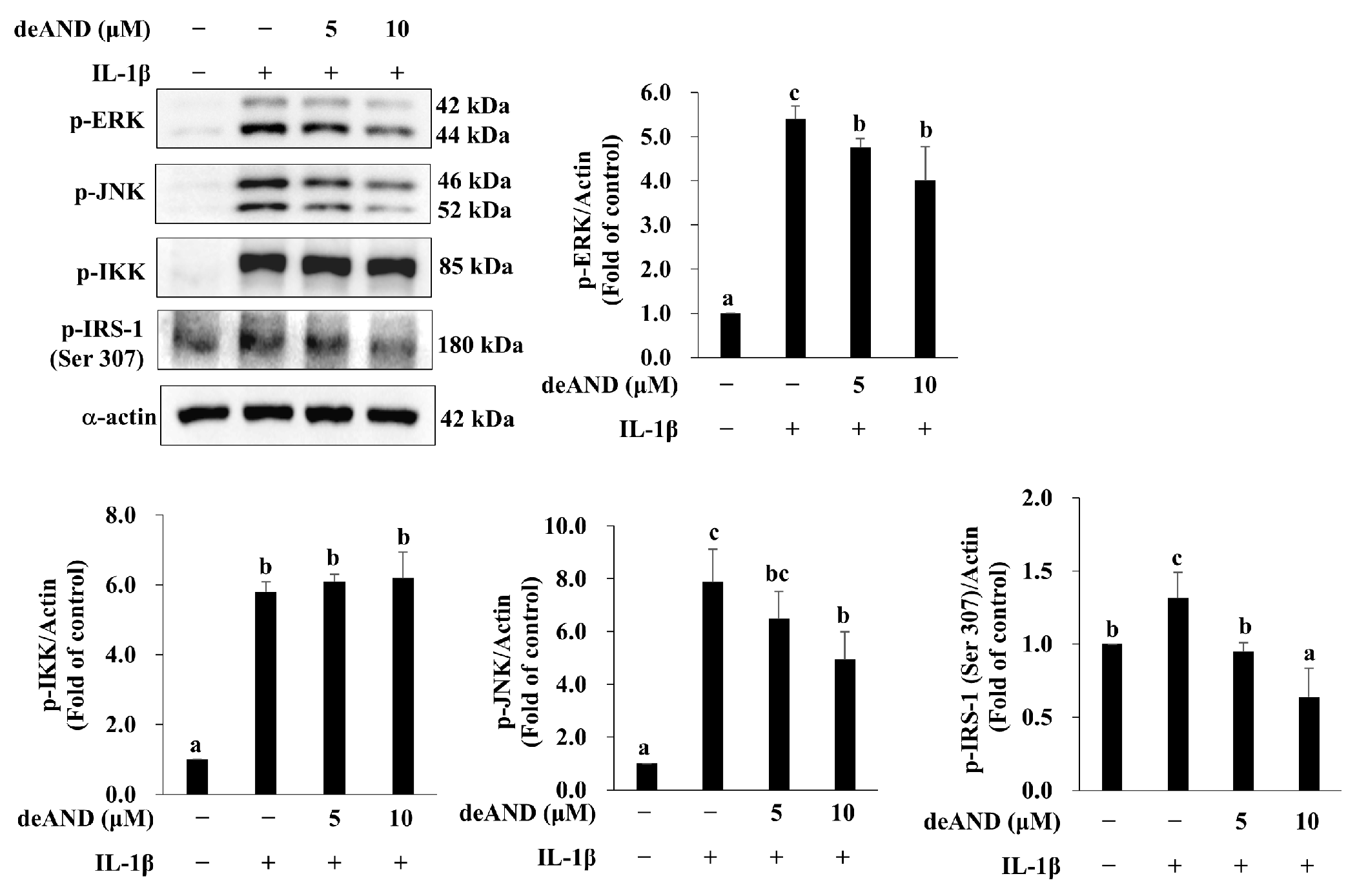Antioxidants 14 01155 g005 Antioxidants 14 01155 g005