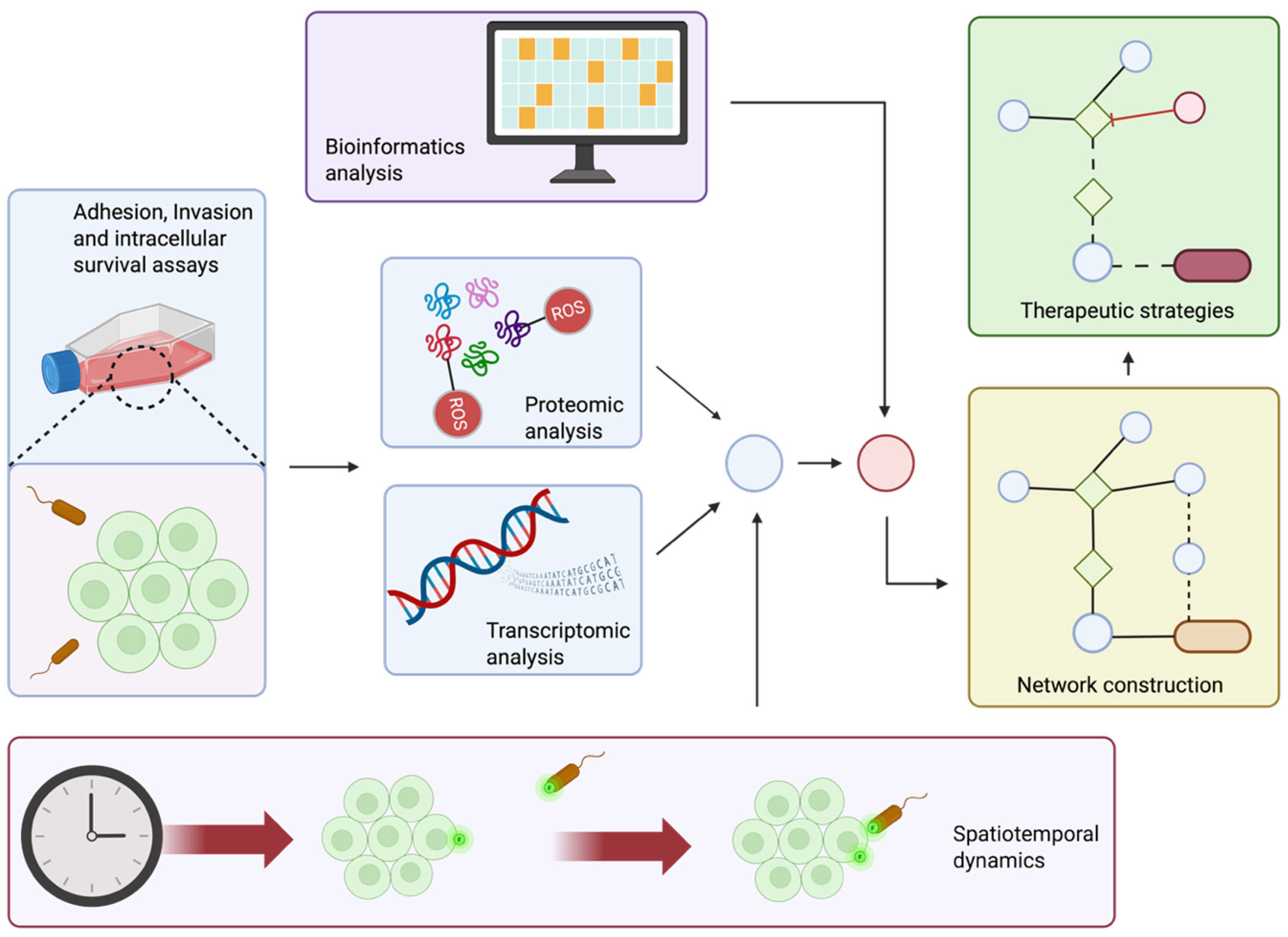 Antioxidants 14 01156 g003