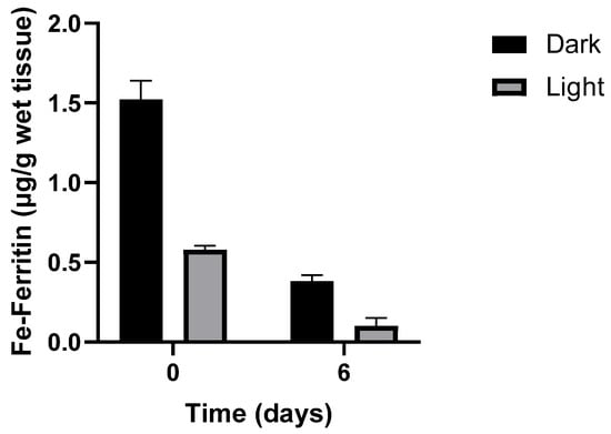 Antioxidants 14 01157 g002