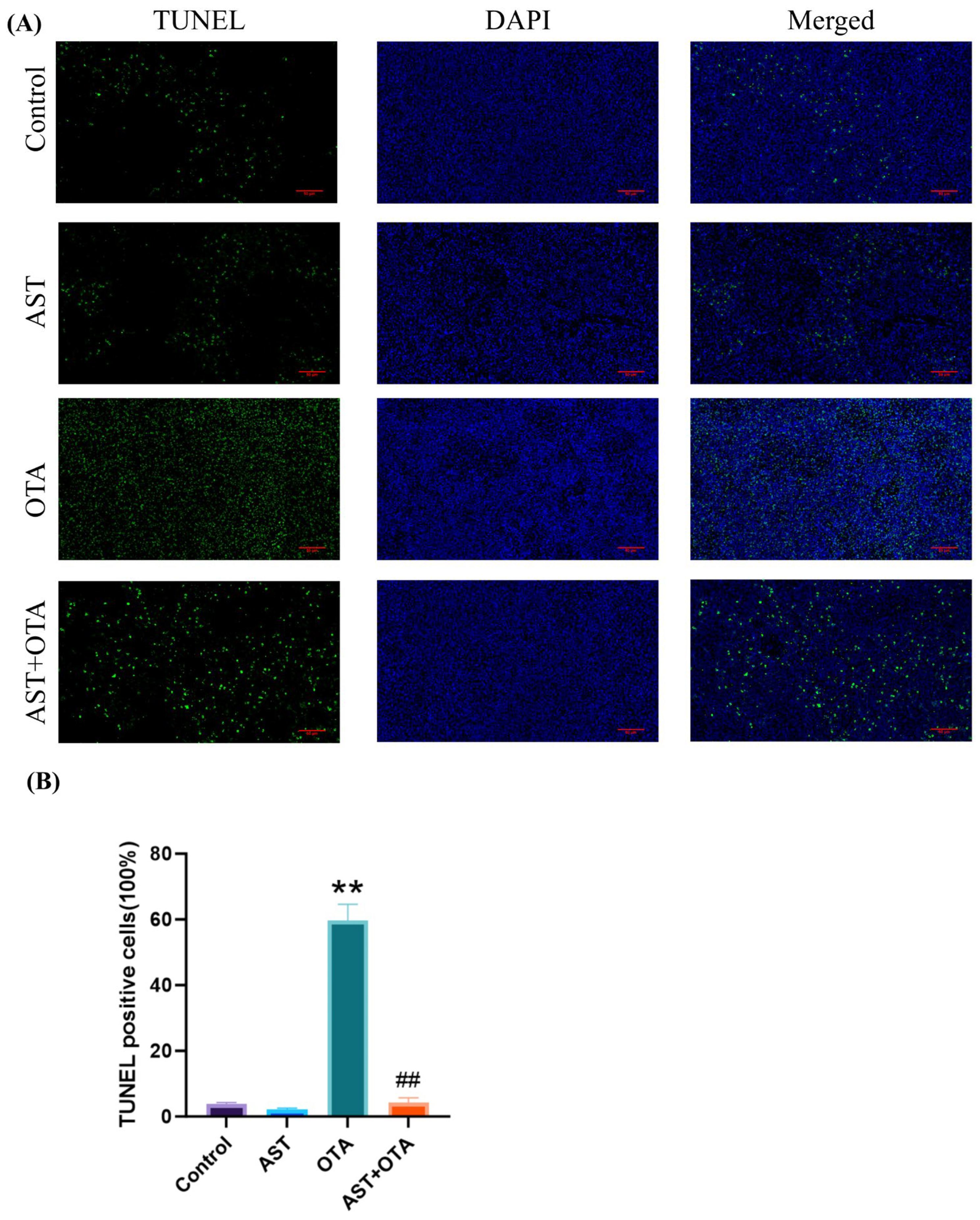 Antioxidants 14 01160 g003