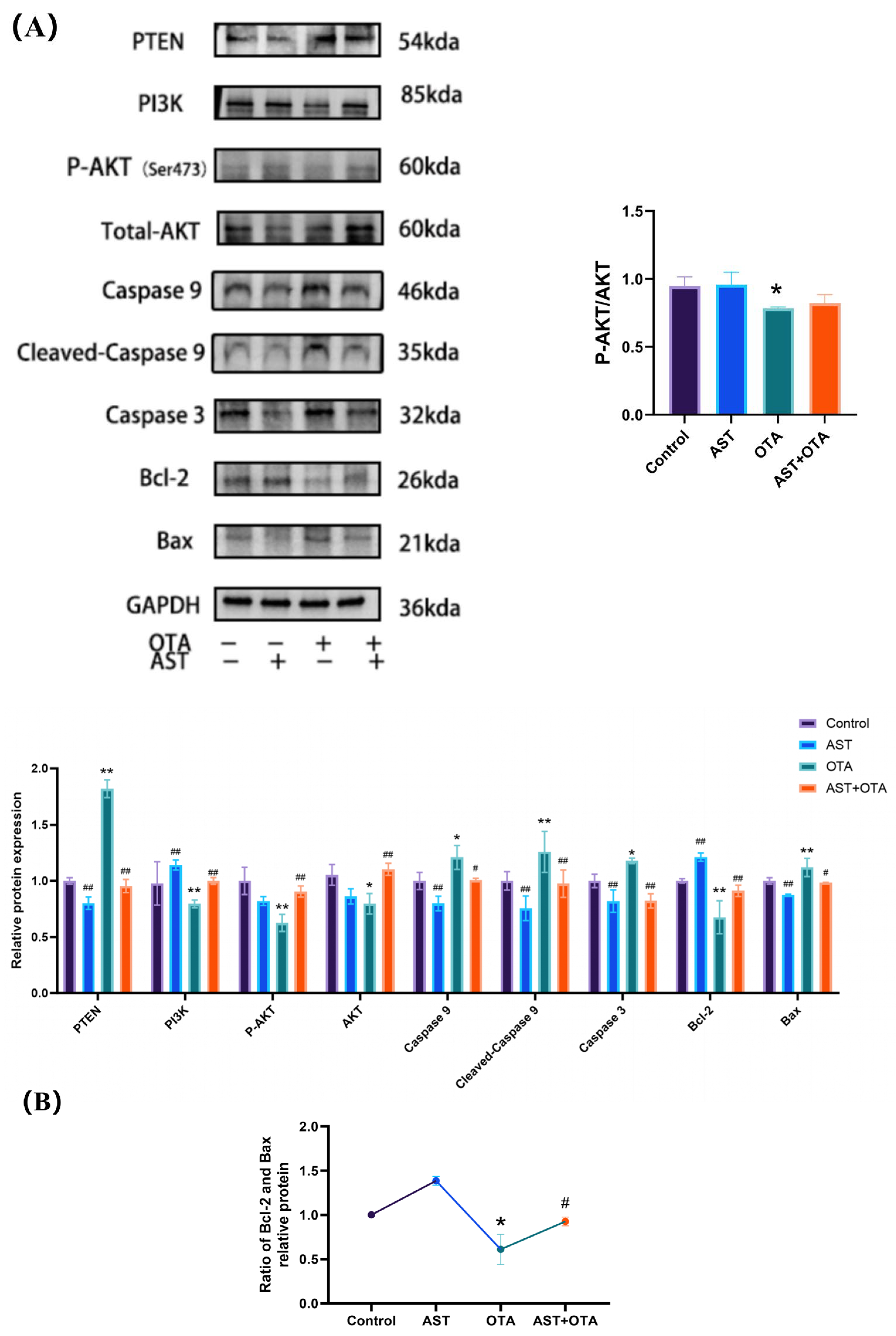 Antioxidants 14 01160 g007