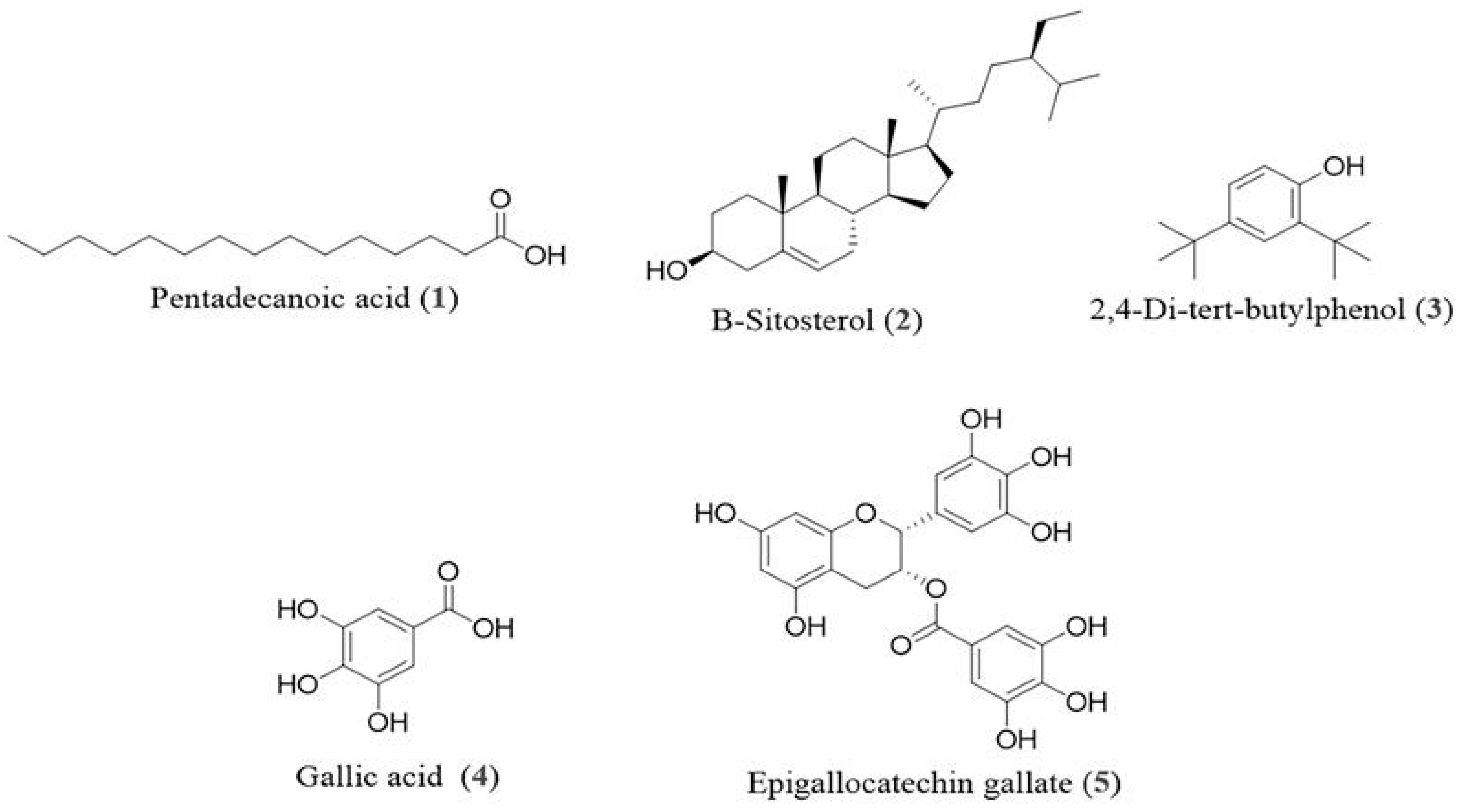 Antioxidants 14 01161 g001