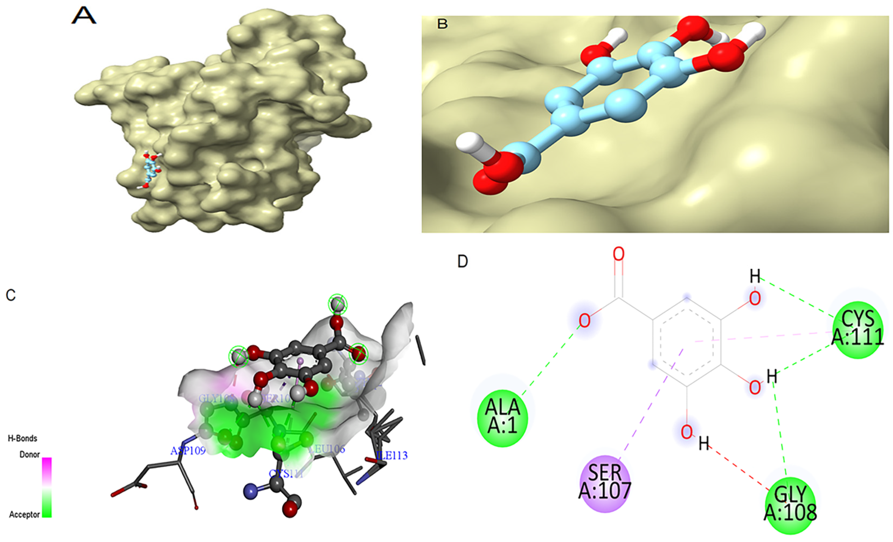 Antioxidants 14 01161 g004