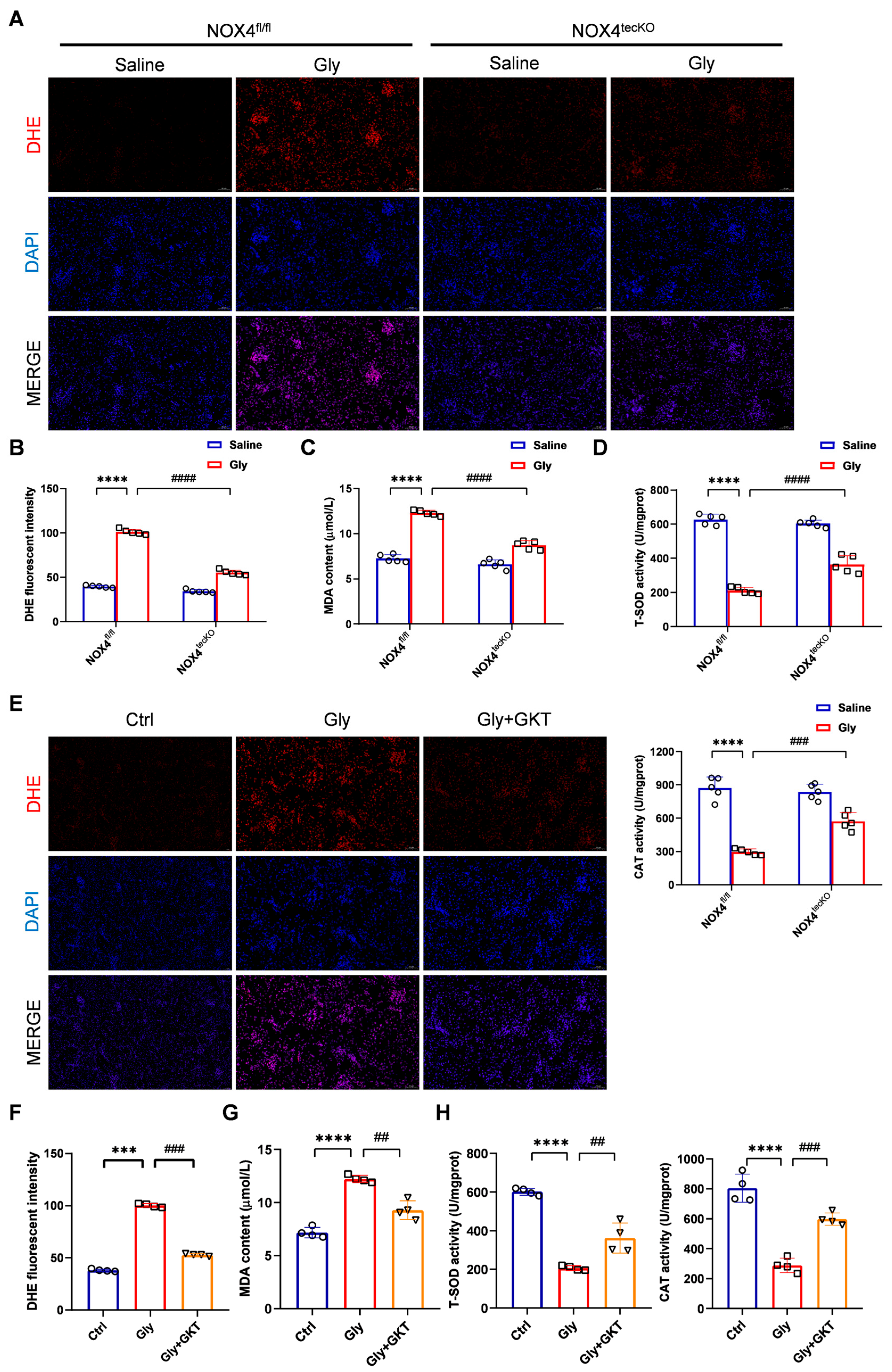 Antioxidants 14 01162 g004
