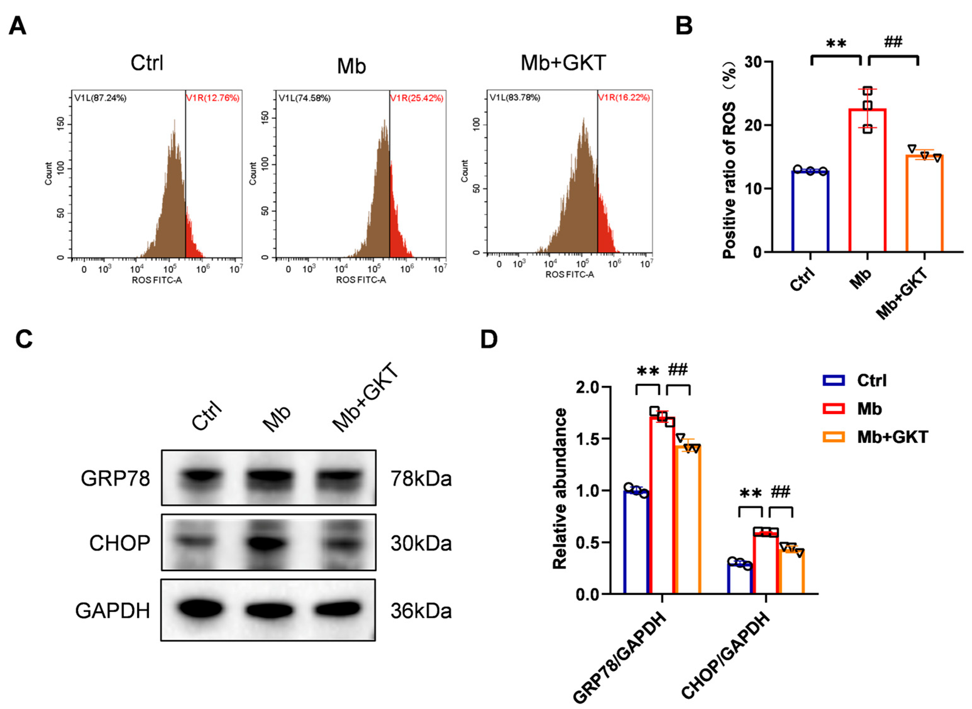 Antioxidants 14 01162 g008