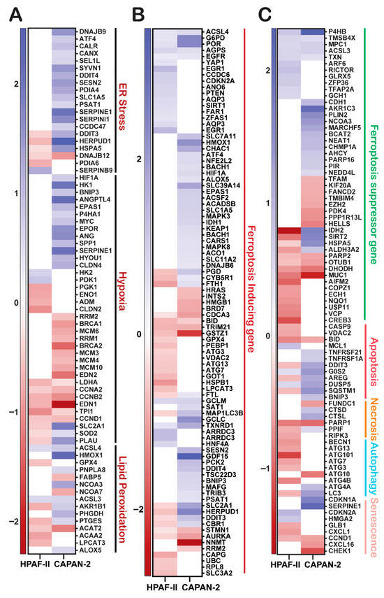 Antioxidants 14 01163 g003