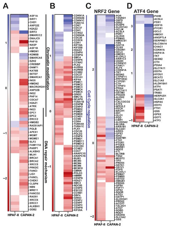 Antioxidants 14 01163 g004